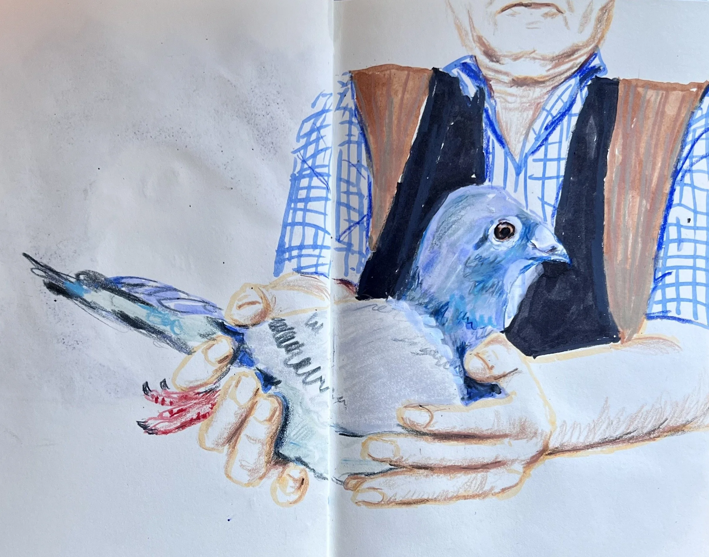 mixed media on paper