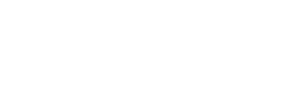 Next Level Productions 