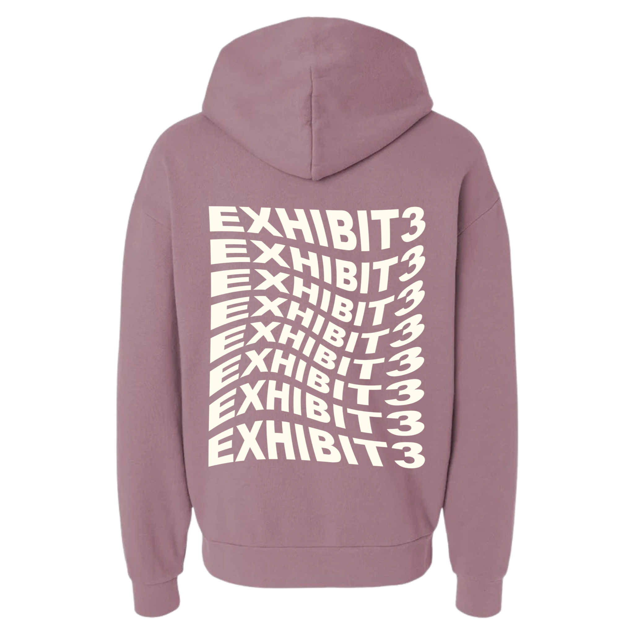 WARPED LOGO HOODIE - BACK.PNG