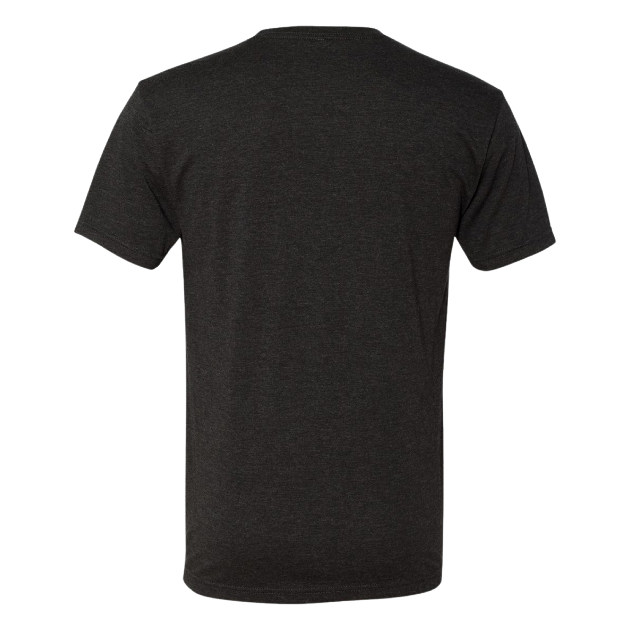 OG BLACK TEE - BACK.PNG
