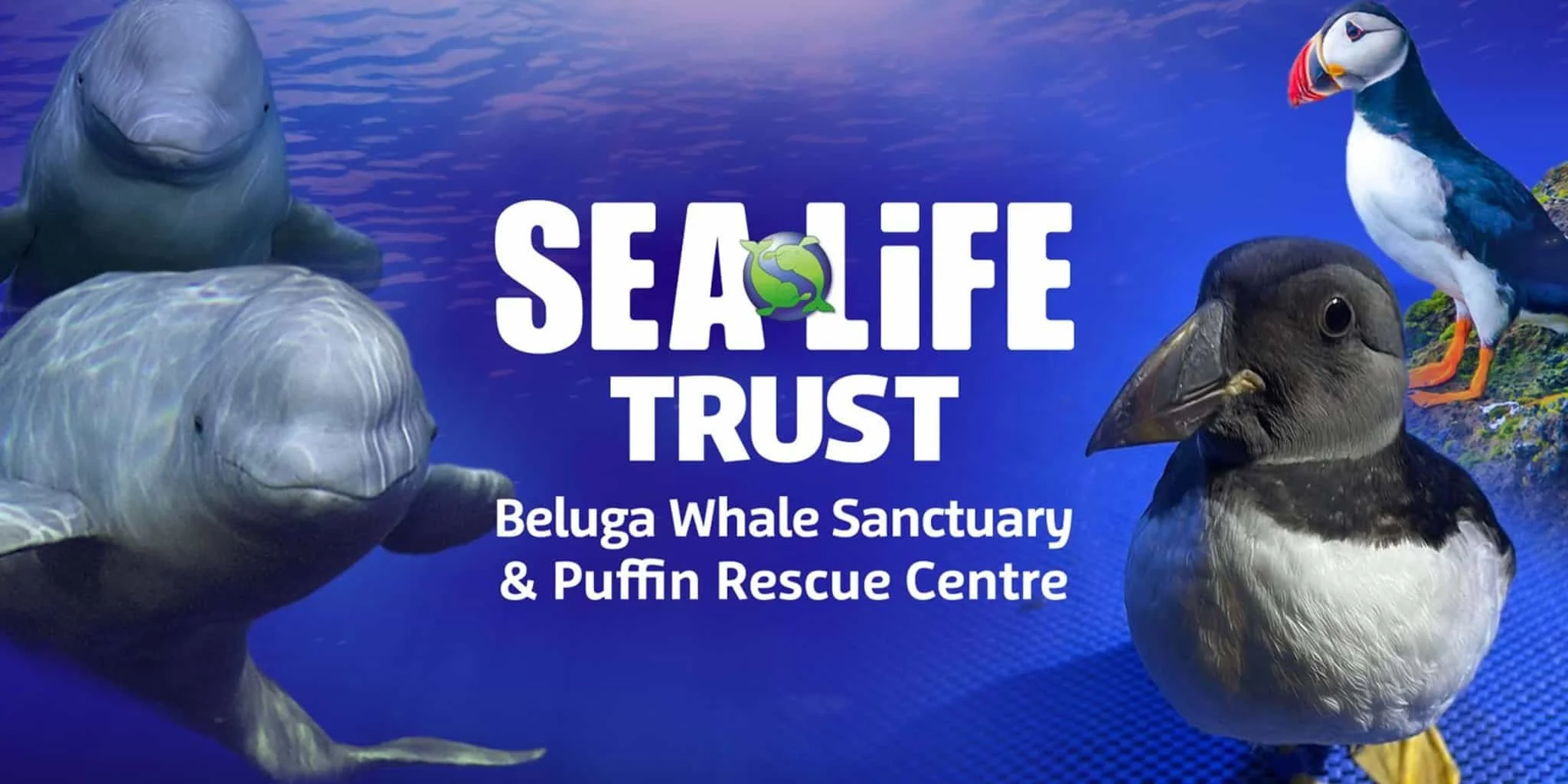 sealifetrust00.jpeg