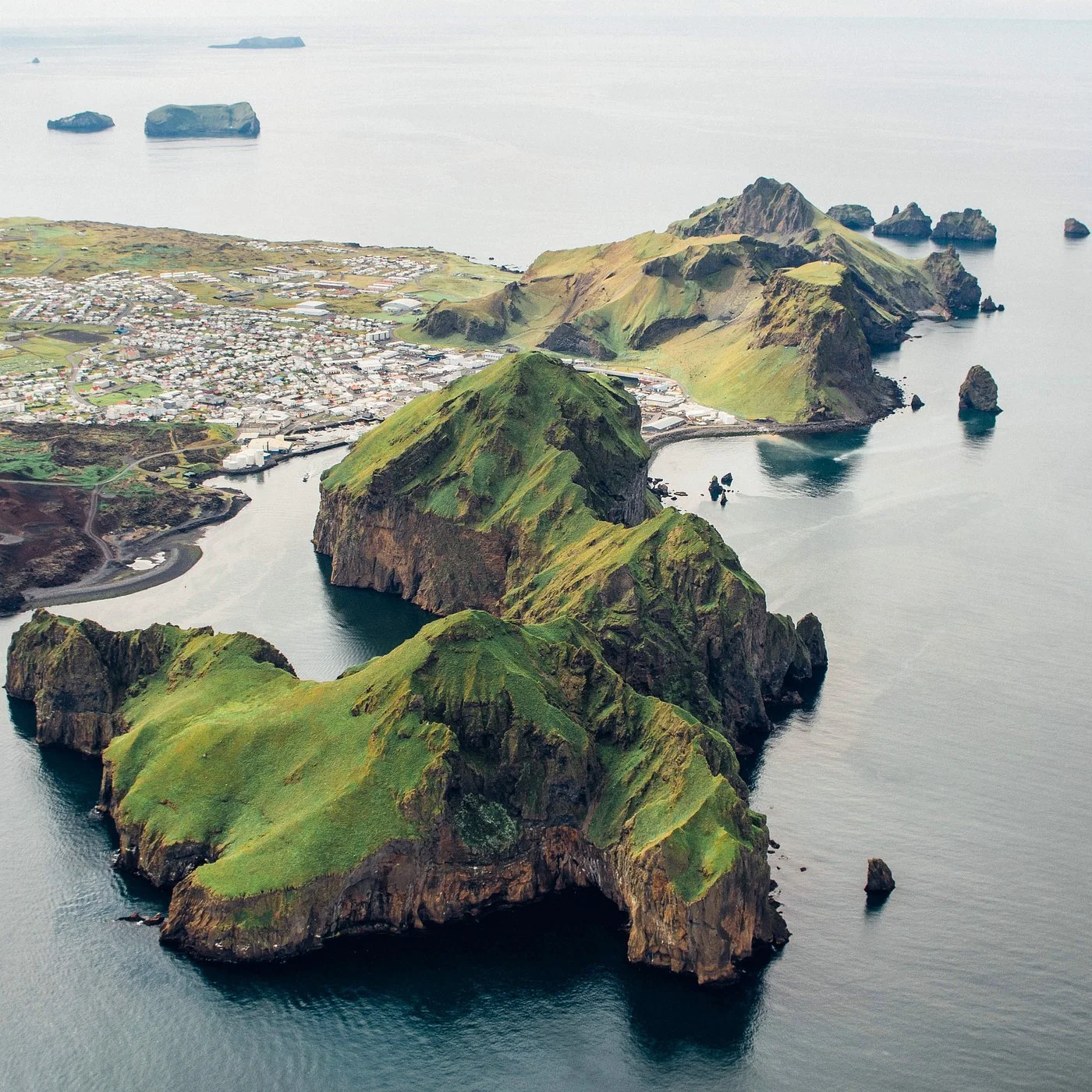Vestmannaeyjar The Island Guide Vestmannaeyjar The Island Guide