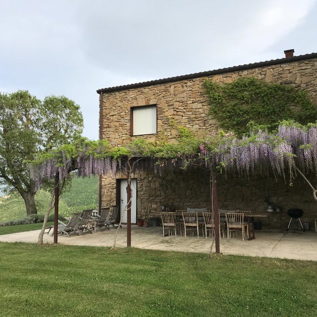 The wisteria is in full bloom, painting the views in breathtaking shades of purple.
.
.
.
#malatesta #malatestamaison #marche #italiansummer #italianspring #wisteria #springblossoms
