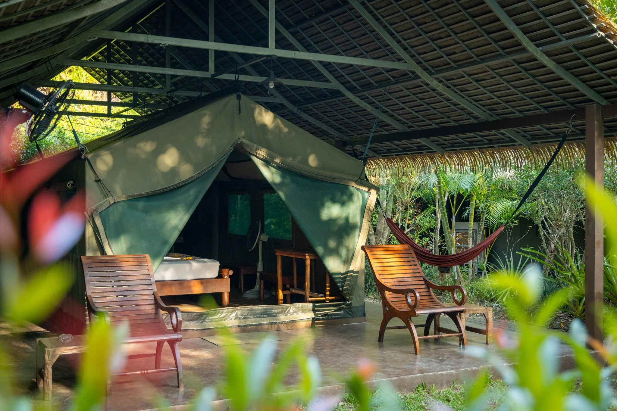 Win a Dream Trip to Thailand!