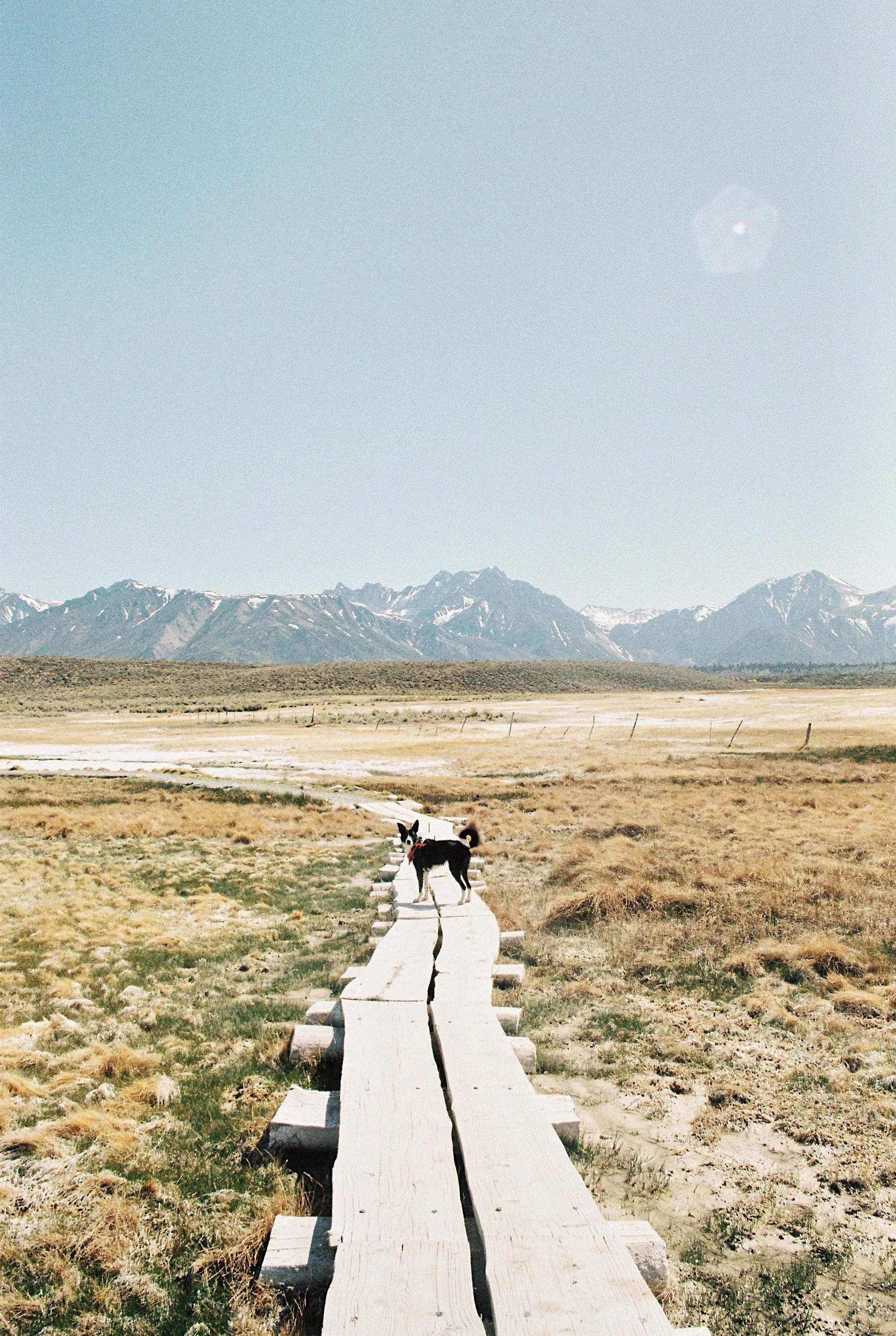 FullSizeRender (1).jpg