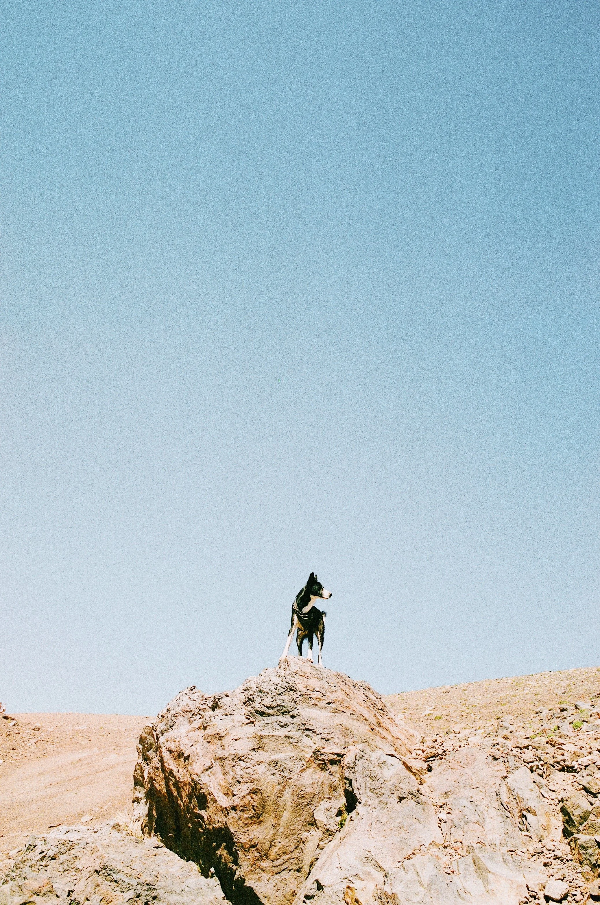 FullSizeRender 2.jpg