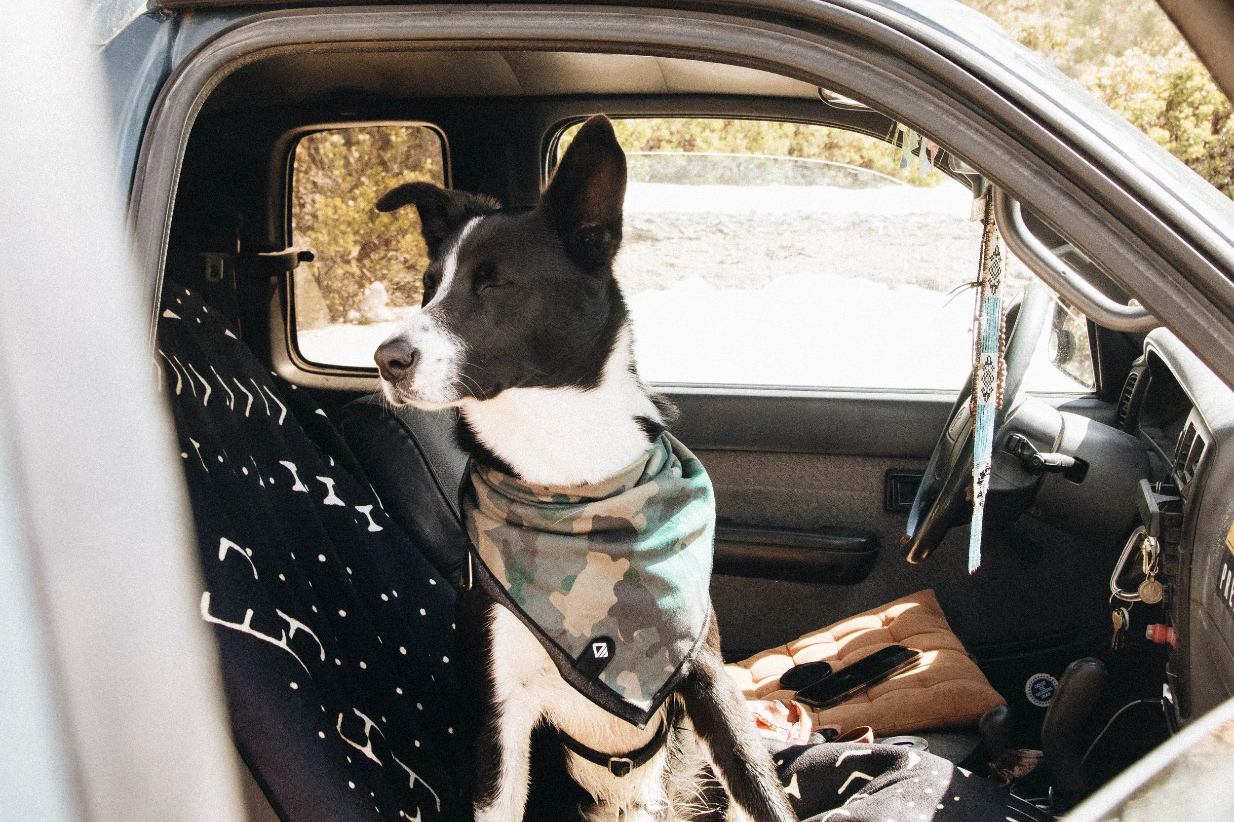 NOMADIX CO. CAMPAIGN