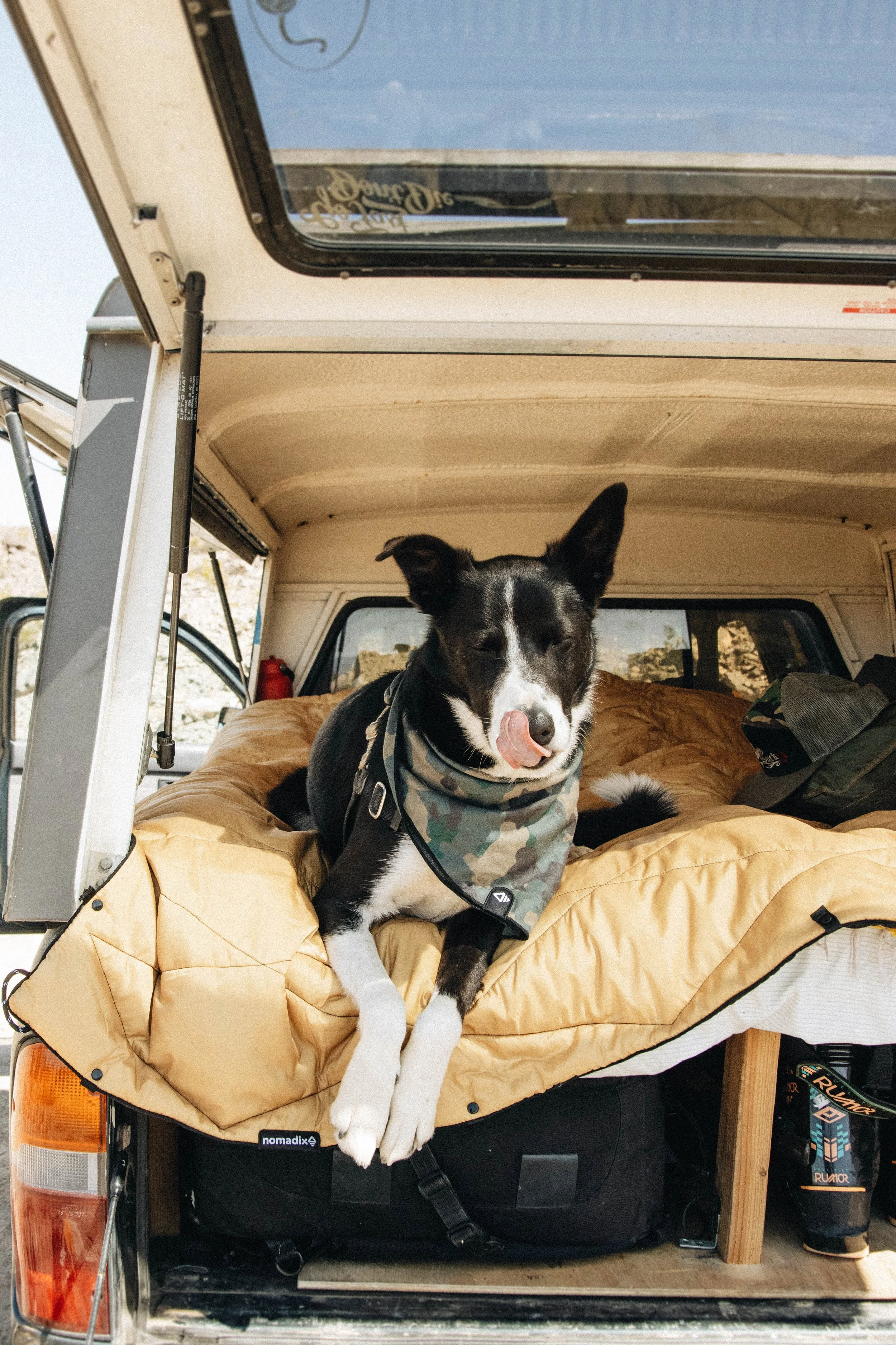 NOMADIX CO. CAMPAIGN