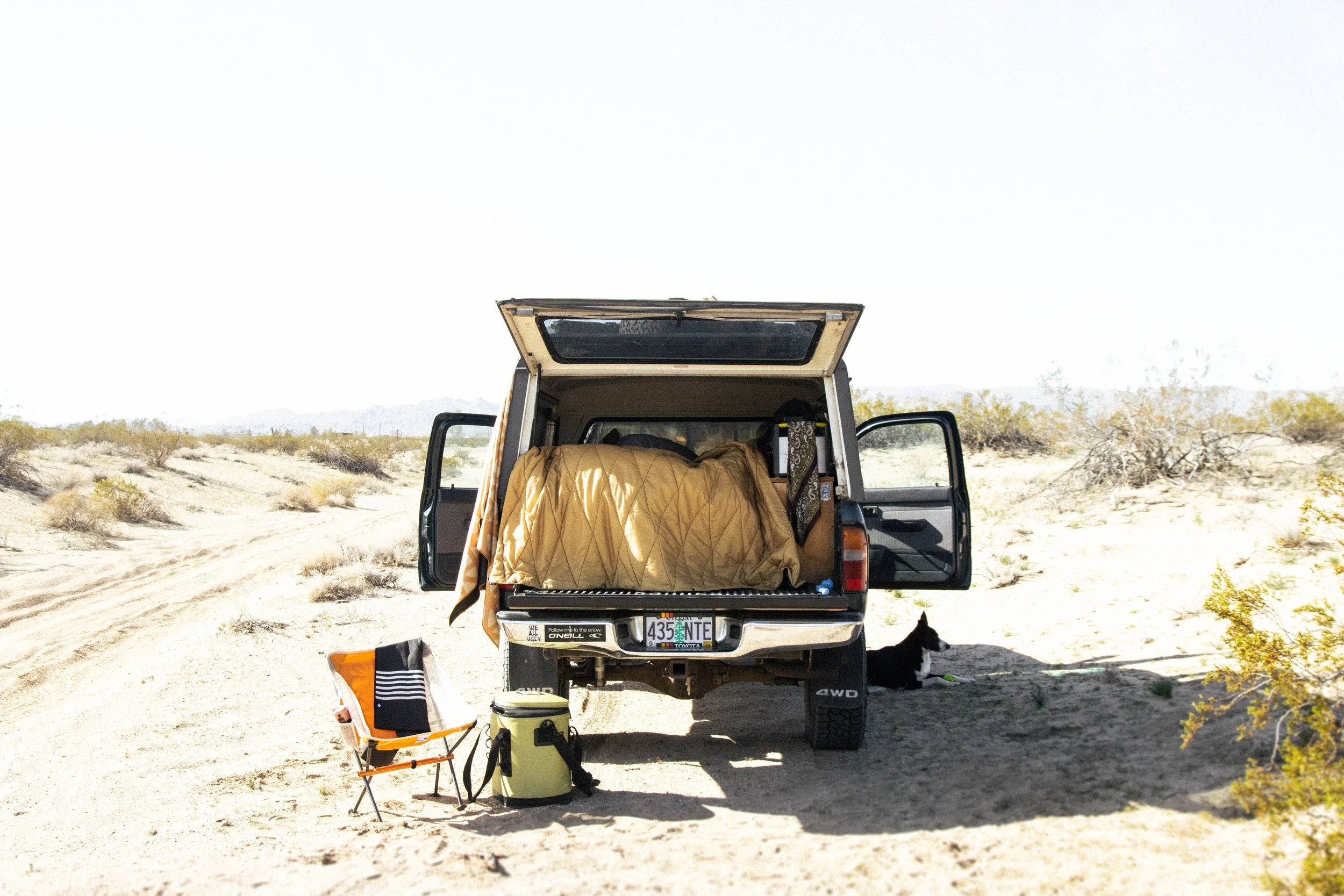 NOMADIX CO. CAMPAIGN