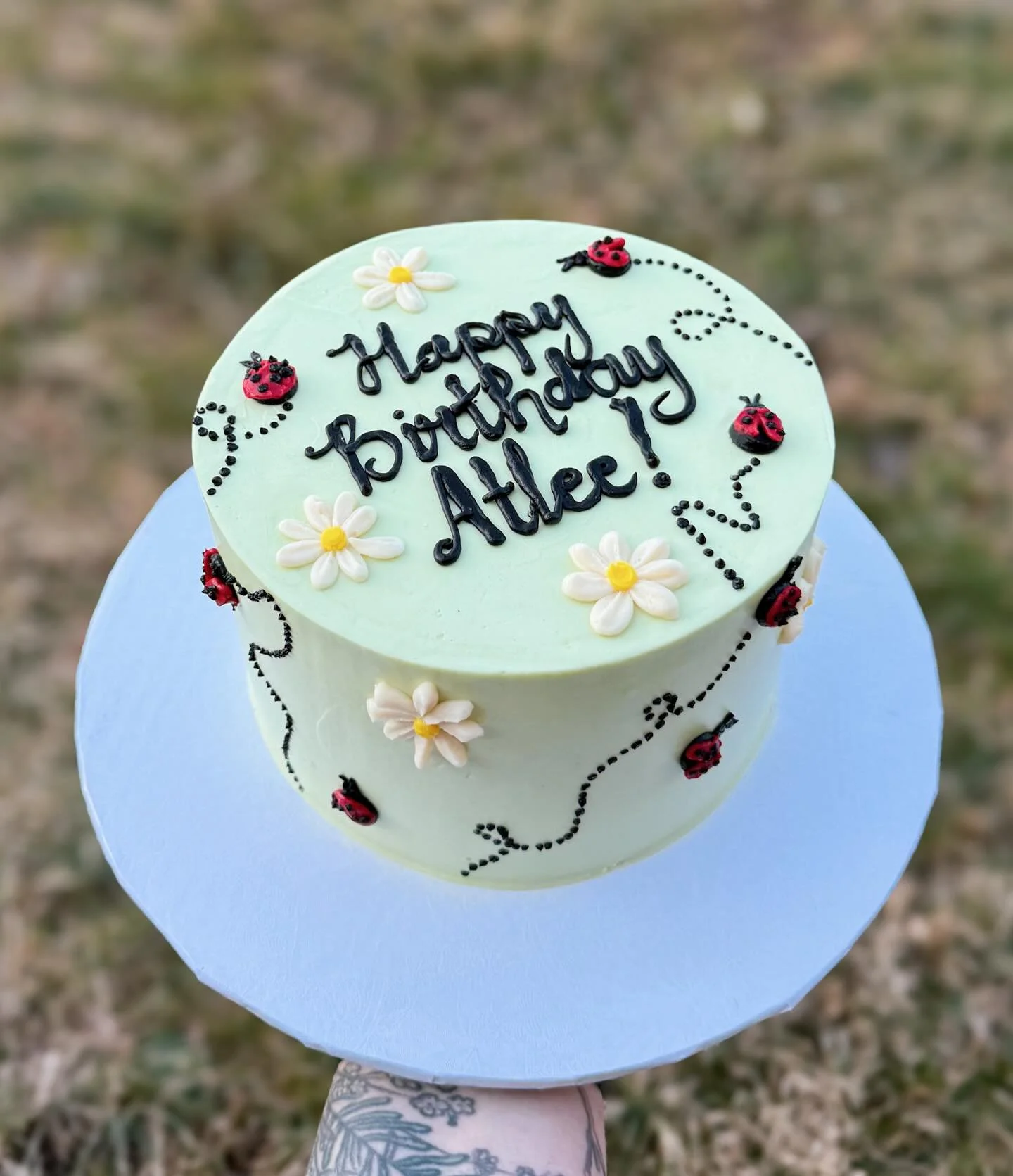 Lady bugs for Atlee! This was a fun one to make 🐞🌼🤍