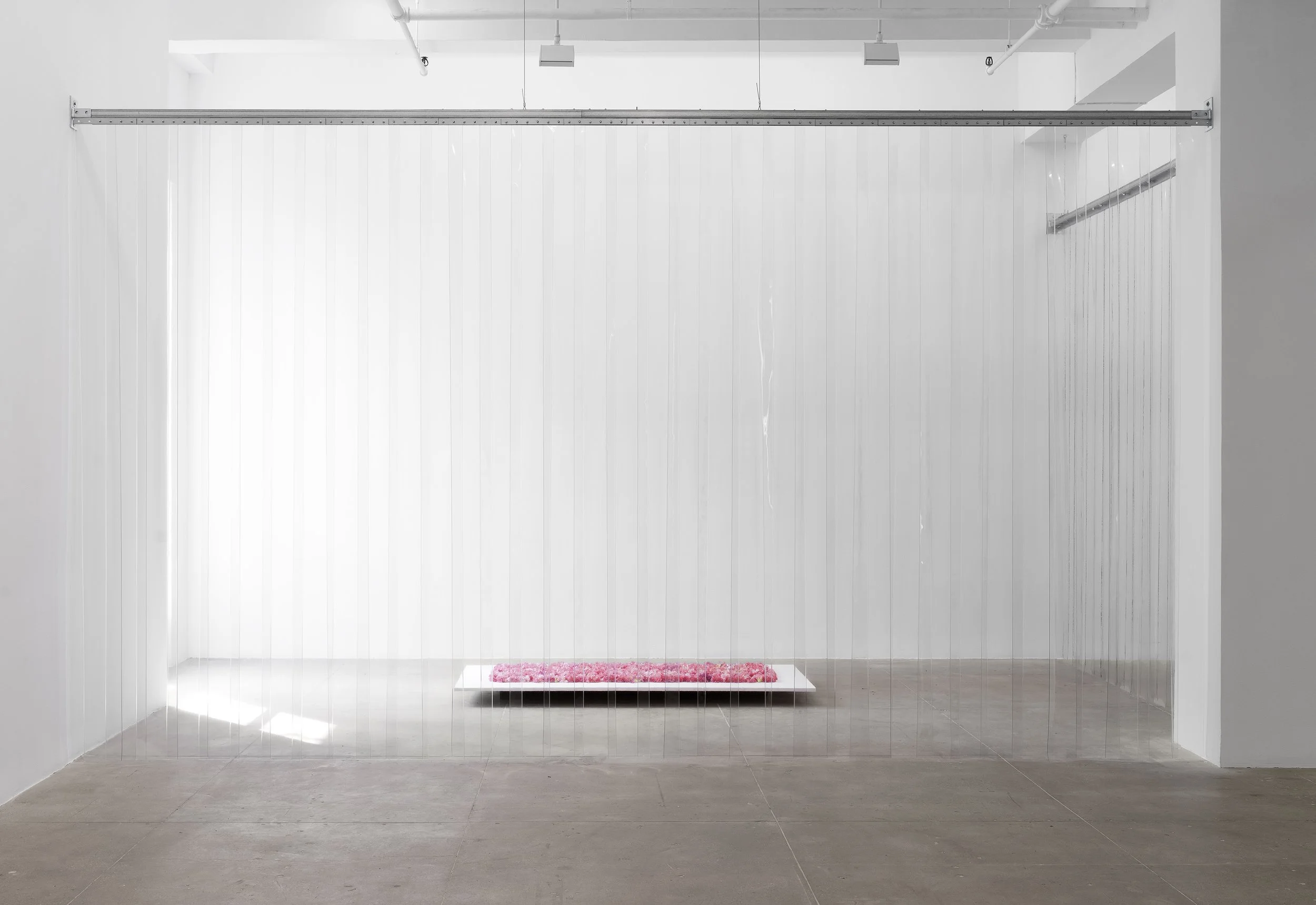 27635Liatela_South Gallery Installation 4.jpg