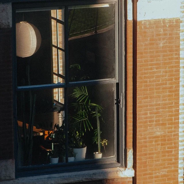 aikido kiss - lofi single