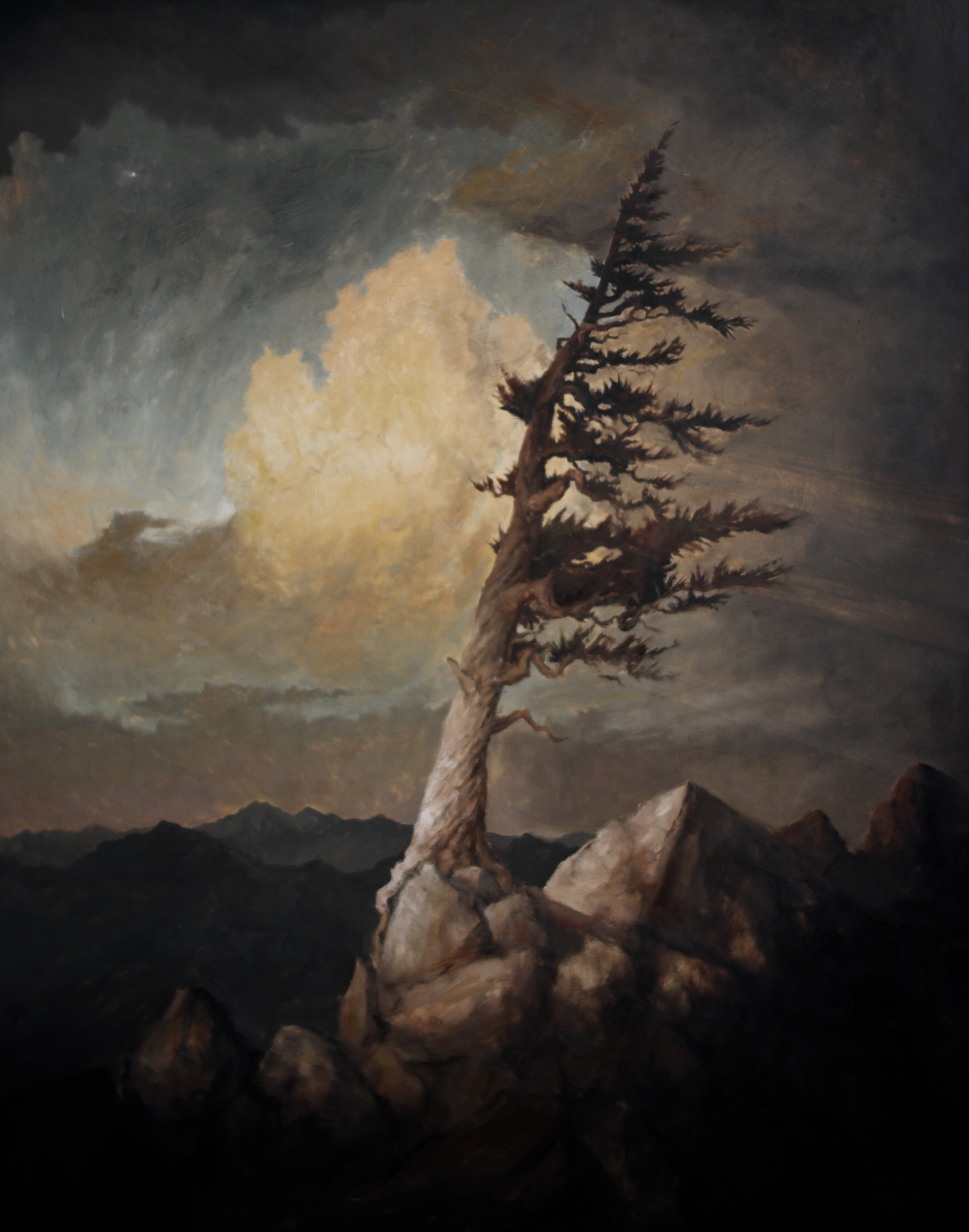 ''Patience'' 24x30, Oil On Wood Panel, 2025