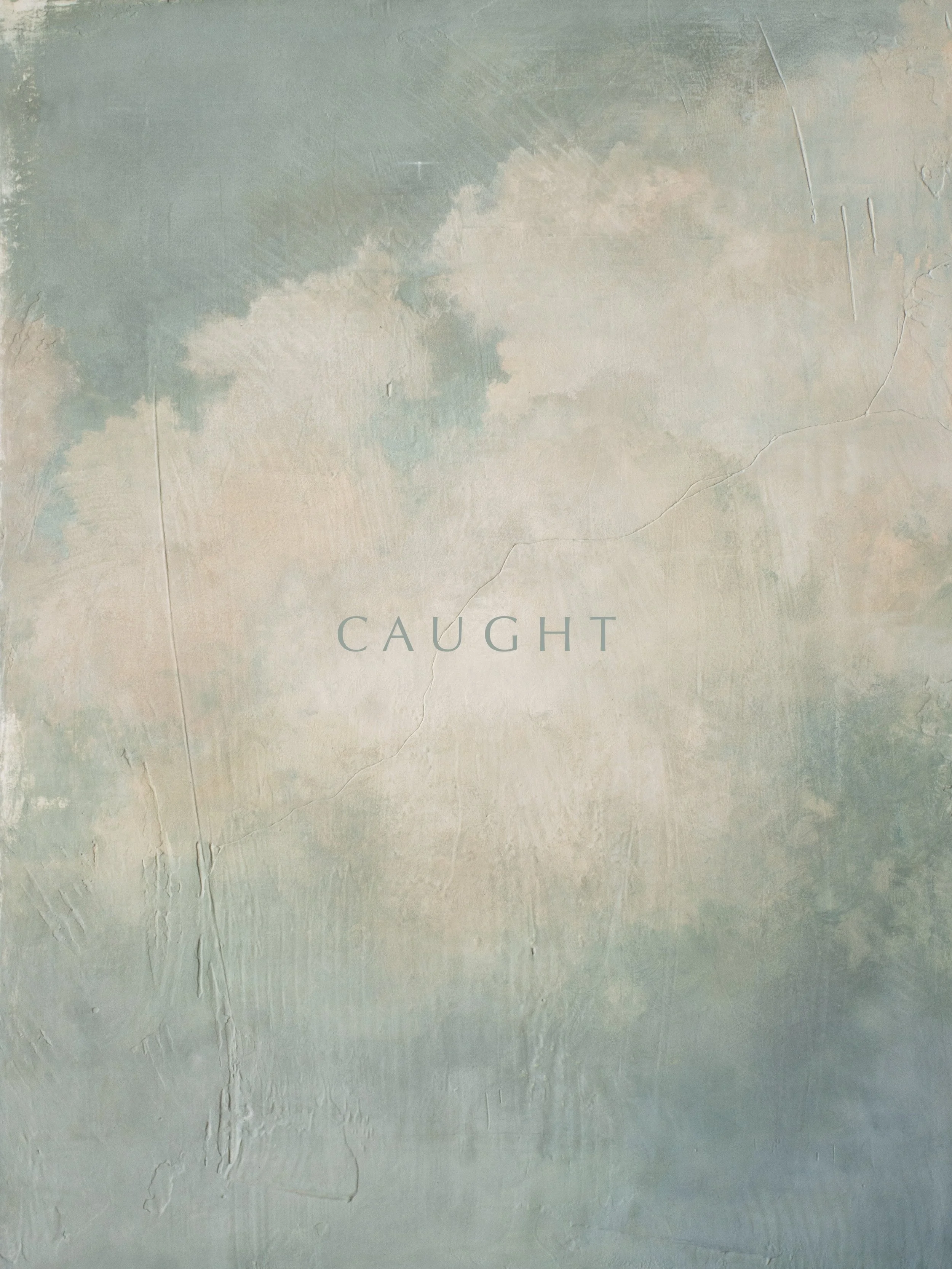 "CAUGHT" 18x24 Oil on textured panel
