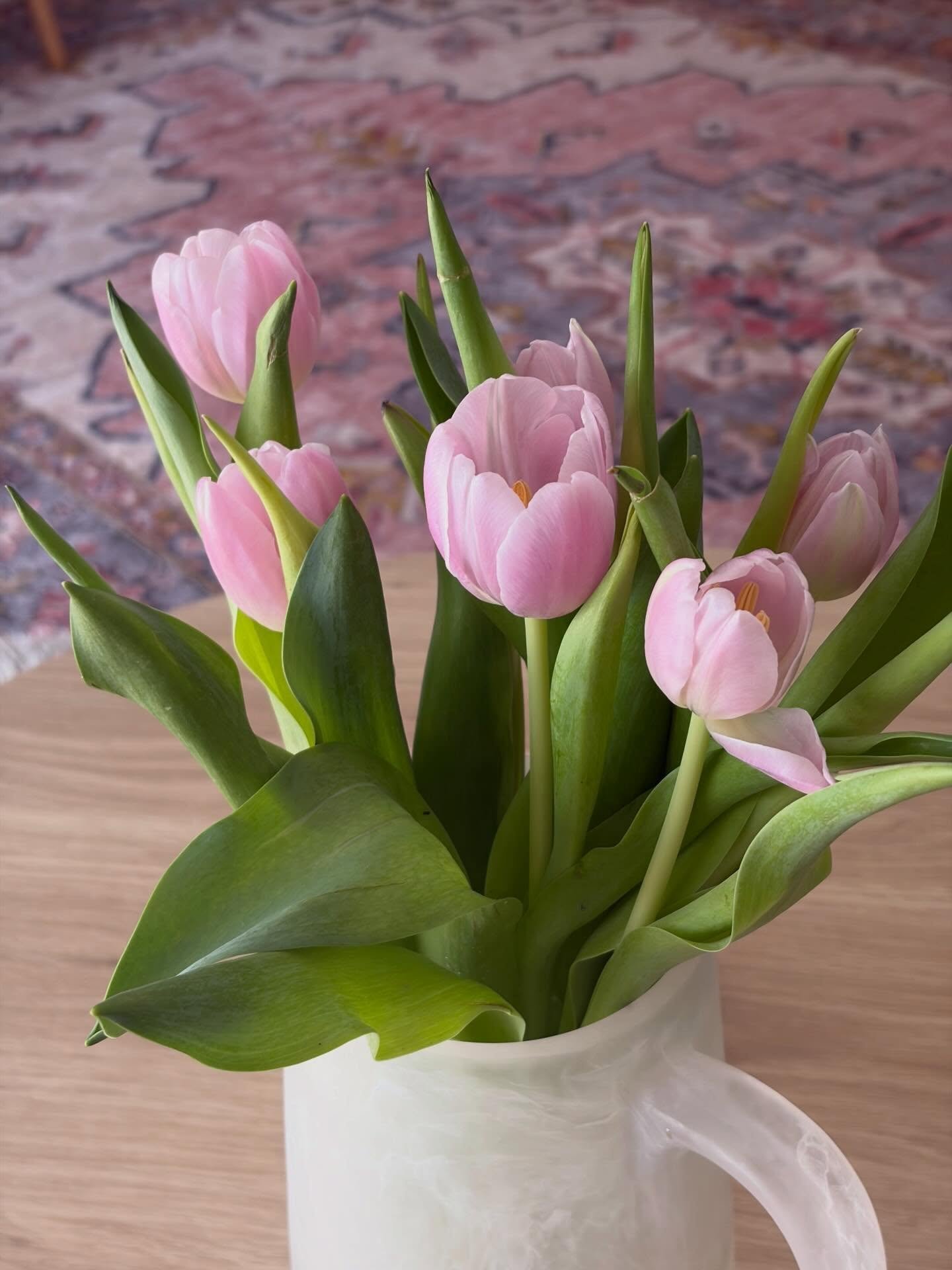 Tuesday morning favorites on a nice slow start to the week🌷🦢🌳🐶