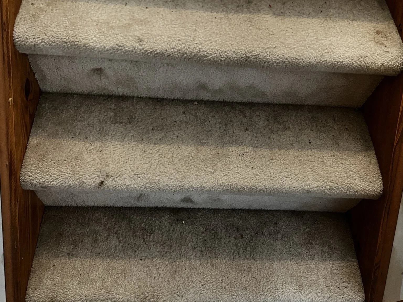 IMG_3903.jpeg