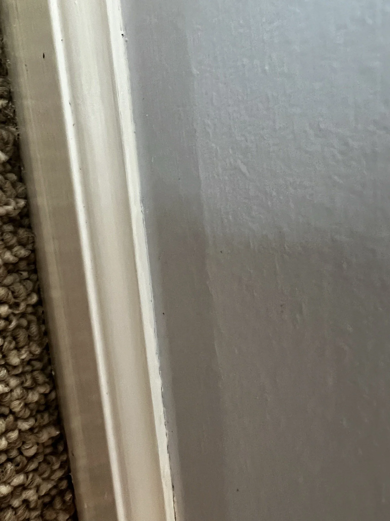 IMG_3907.jpeg