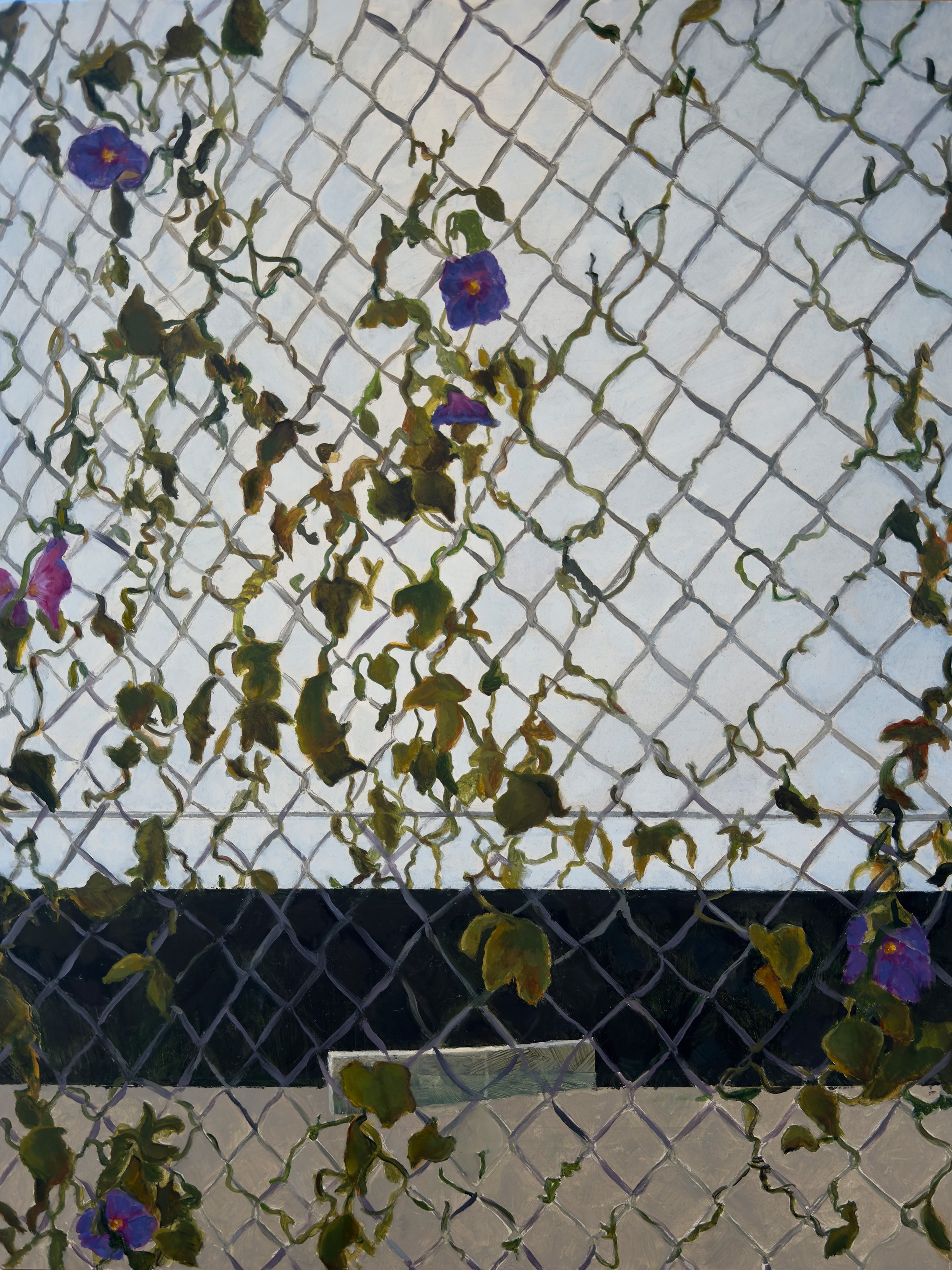 Morning Glory, Oil on cradled wood panel, 18"x24"