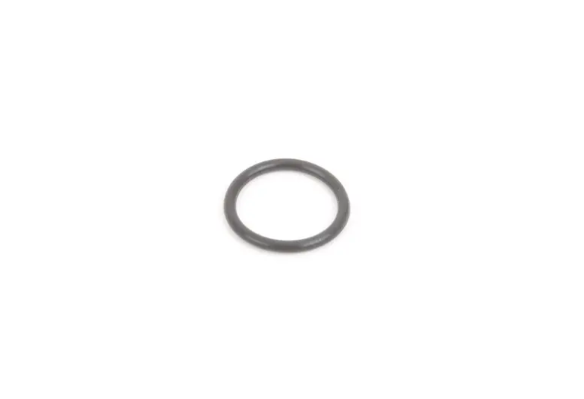 S54 Constant Pressure Valve O-Ring - 11111318185