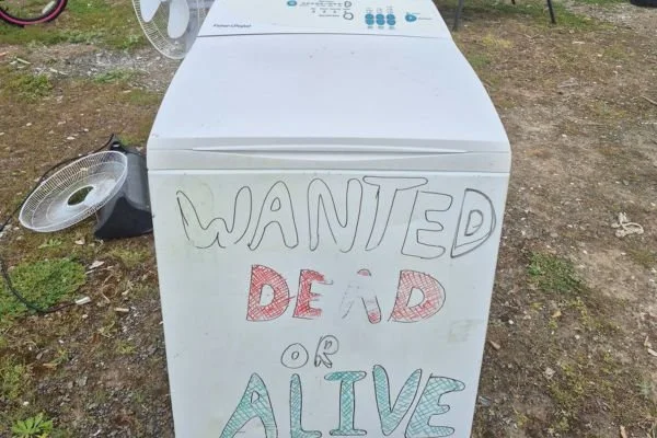 From Spin Cycle to Second Chance