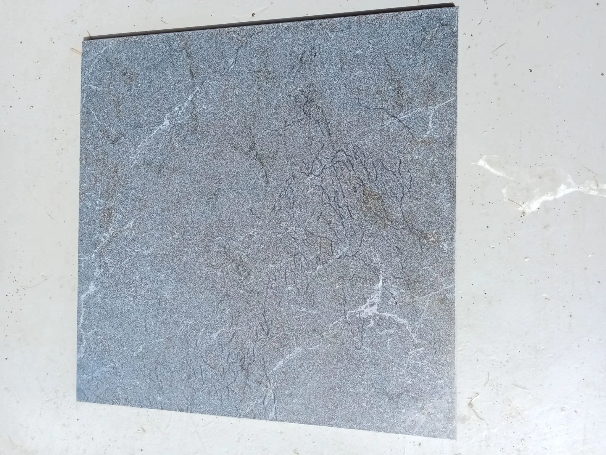 18 French floor Tiles2.jpg