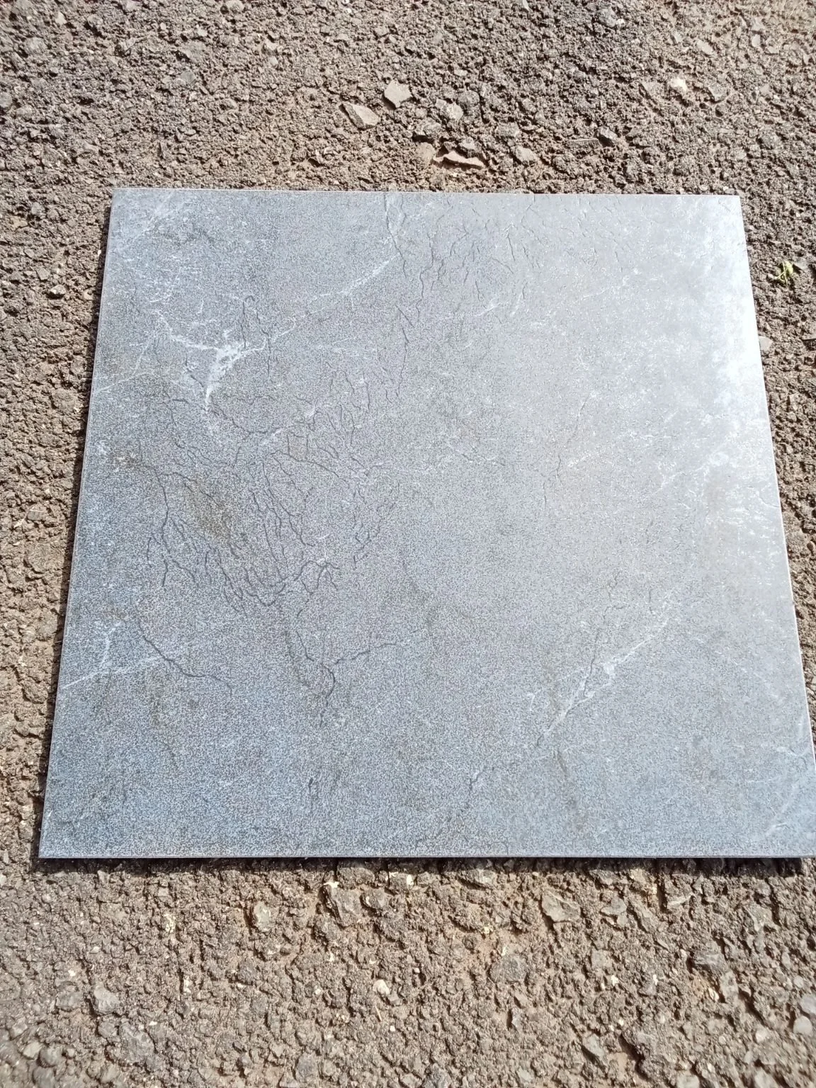 18 French floor Tiles4.jpg