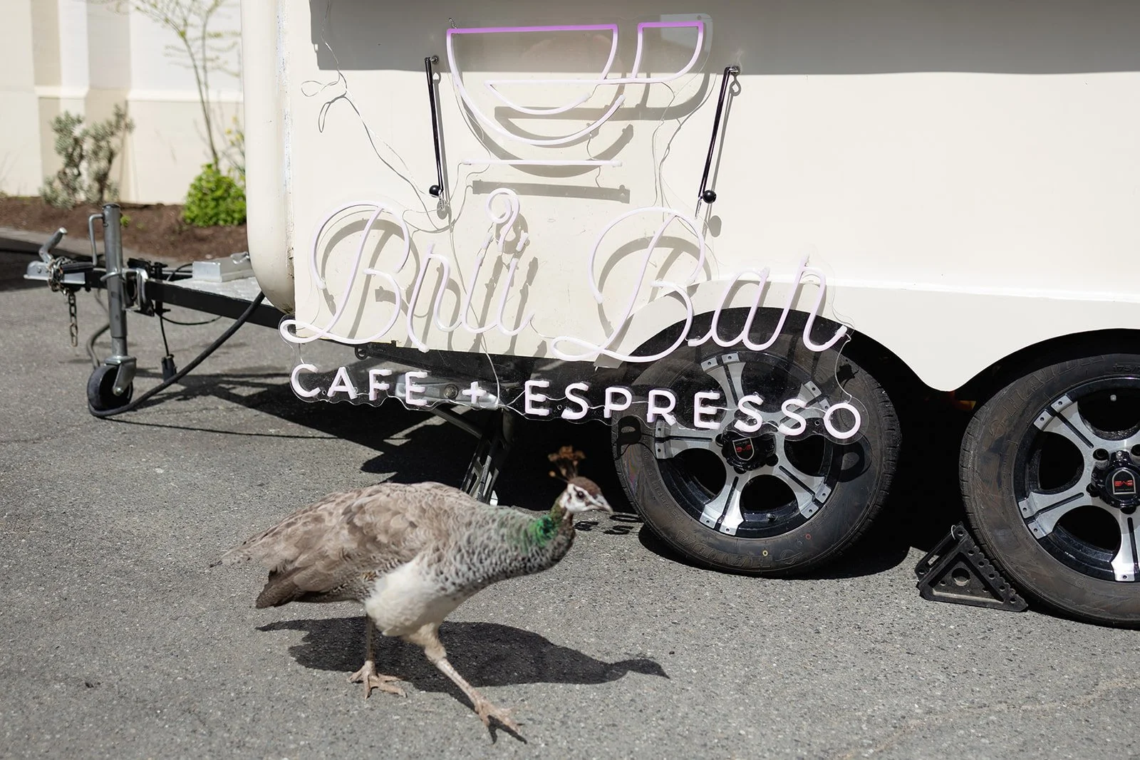 Victoria Wedding Show_Champagne and Cake Show_Megan Maundrell Photography (56 of 187).jpg