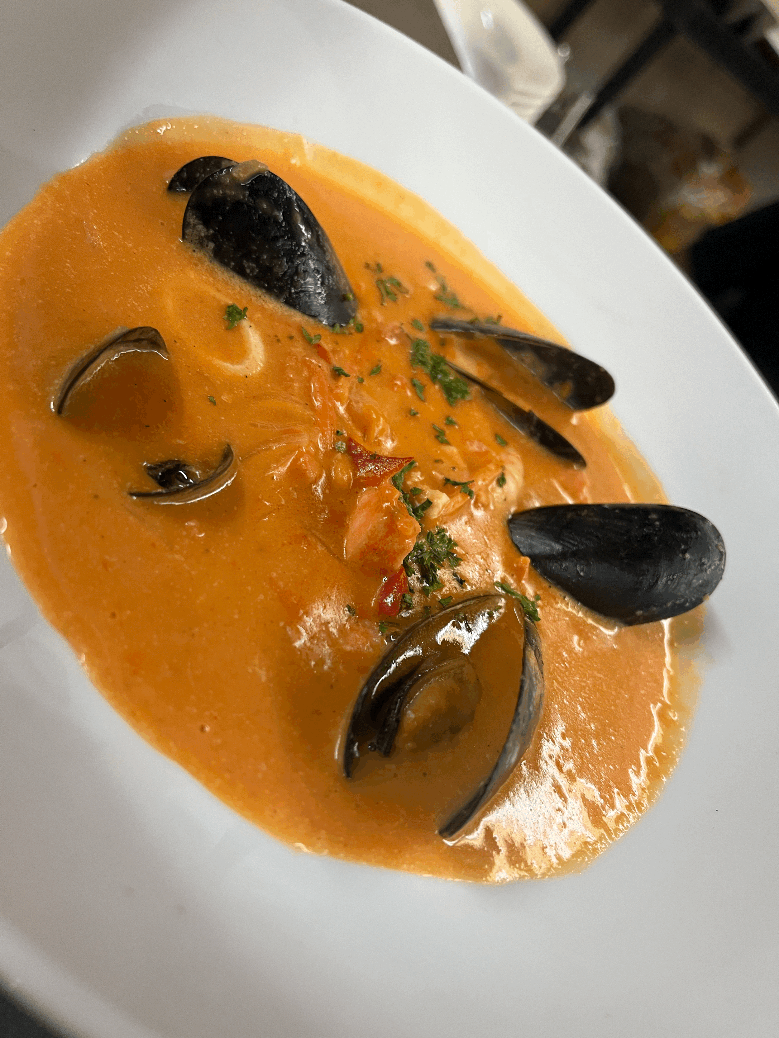 Secret Bouillabaisse
