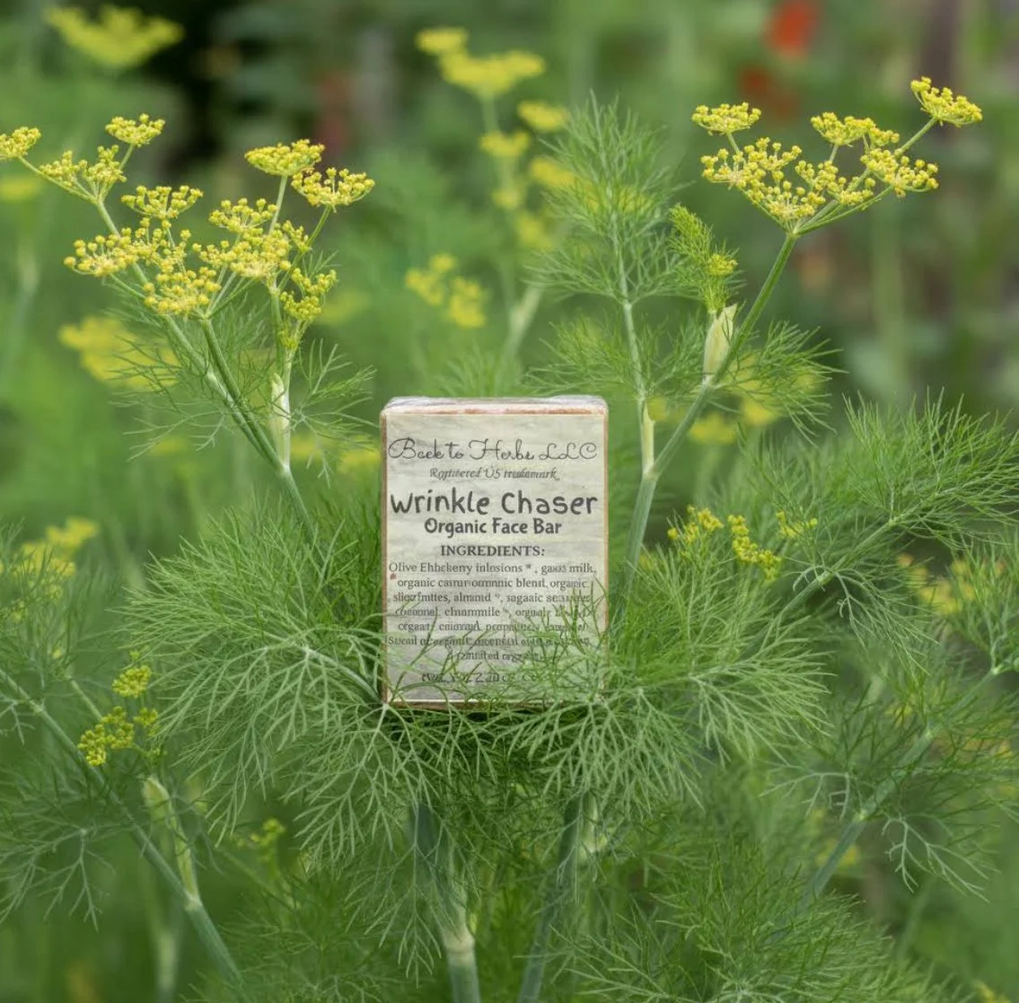 Wrinkle Chaser – Mini Travel Face Bar, Organic Gentle Cleanser