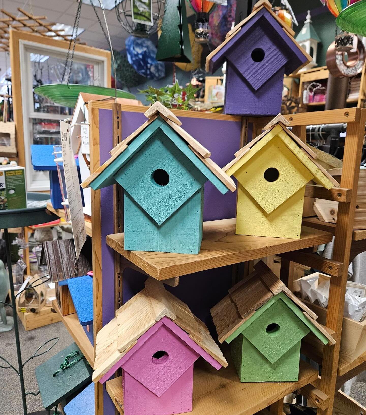 Cute and colorful chickadee houses just in! Come see us 10-5 today!

#chickadeehouse #wildbirdandgarden #shopsmall #localbusiness #familyownedbusiness #wilmingtonnc #supportsmallbusiness #shoplocalilm