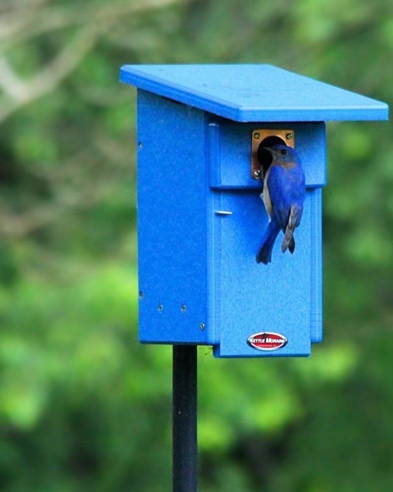 Thinking of recycling lately? It is Earth Month after all. Well, check out this delightful bluebird house made from recycled milk jugs! A whopping 38 milk jugs to be specific! Come in and get yours today! We&rsquo;re open 10-5 today!

#recycle #repur