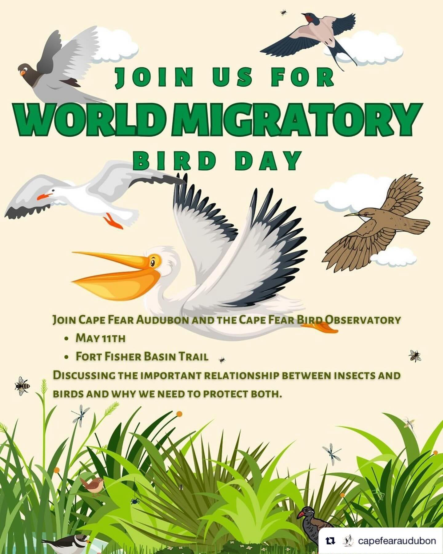 Repost from @capefearaudubon
&bull;
We hope you will join us on May 11th at 8am to celebrate World Migratory Bird Day! The outing is co-led by Cape Fear Bird Observatory, so you don&rsquo;t want to miss it! Register now at our link in bio.