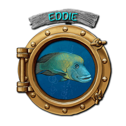 Eddie-in-Porthole-animated-250px.gif