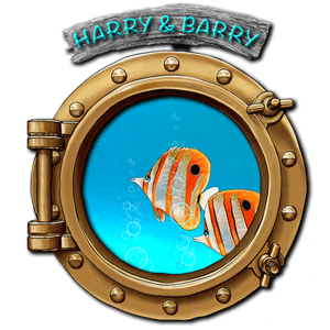 Harry-and-Barry-in-Porthole-animated-300px.GIF