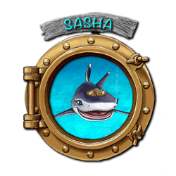 Sasha-in-Porthole-animated-250px.gif