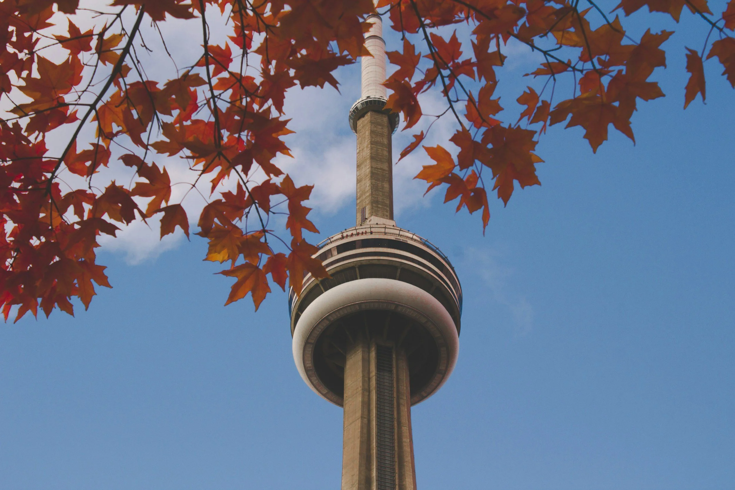 Fall Commercial Building Maintenance: Why Timing Matters for GTA Properties