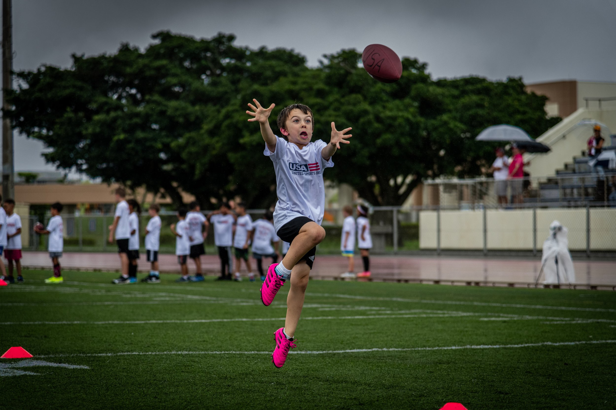 D85_0455.jpg