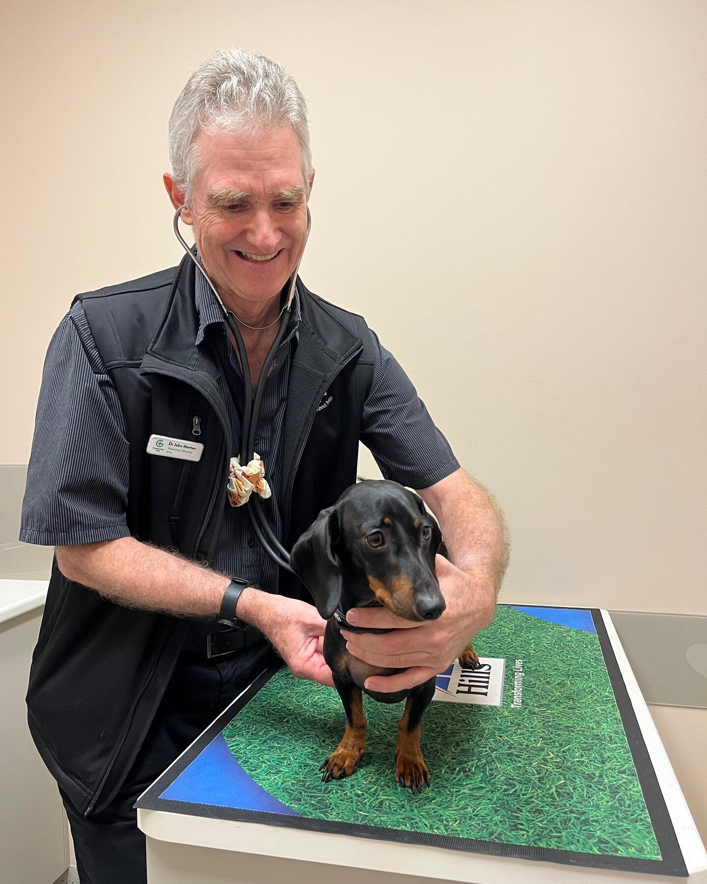Check out BBQ (the winner of 2022's Dachshund Dash) at Greencross Vets getting his healthy pets plus check up as part of his prize. Hope you had the best time! Woof Woof. 

Don't forget to enter for this year.&nbsp;
Link via Bio.&nbsp;🐶 

@greencros