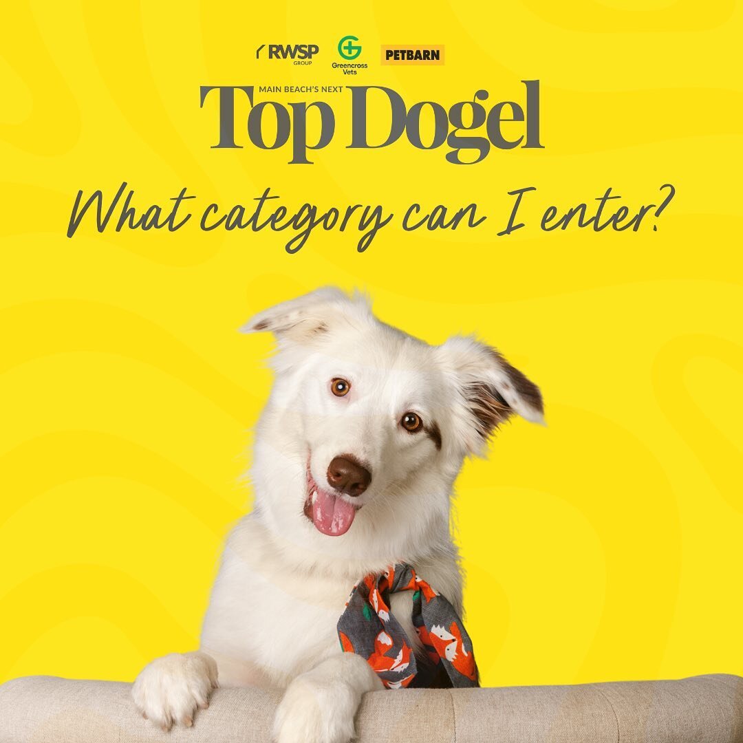 HELLO ALL TOP DOGELS! Welcome to the 2023 competition. Are you getting excited? We are!

Entries close July 21st. 
We invite anyone to enter this year's competition by using the link in our bio.
The photoshoot is the 15th of July at our Ray White Mai
