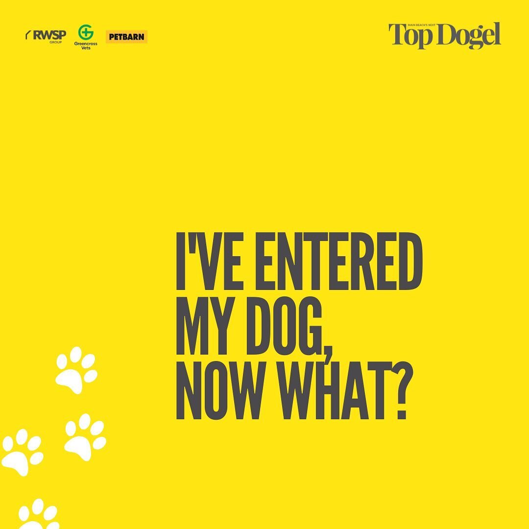 I&rsquo;ve entered my dog&hellip; now what? 🐶 

Well&hellip; if you&rsquo;ve entered the top dogel categories:

1. Enter your beloved pooch online via the form in the bio link.

2. Upload your best picture and all of your details. Remember: The judg