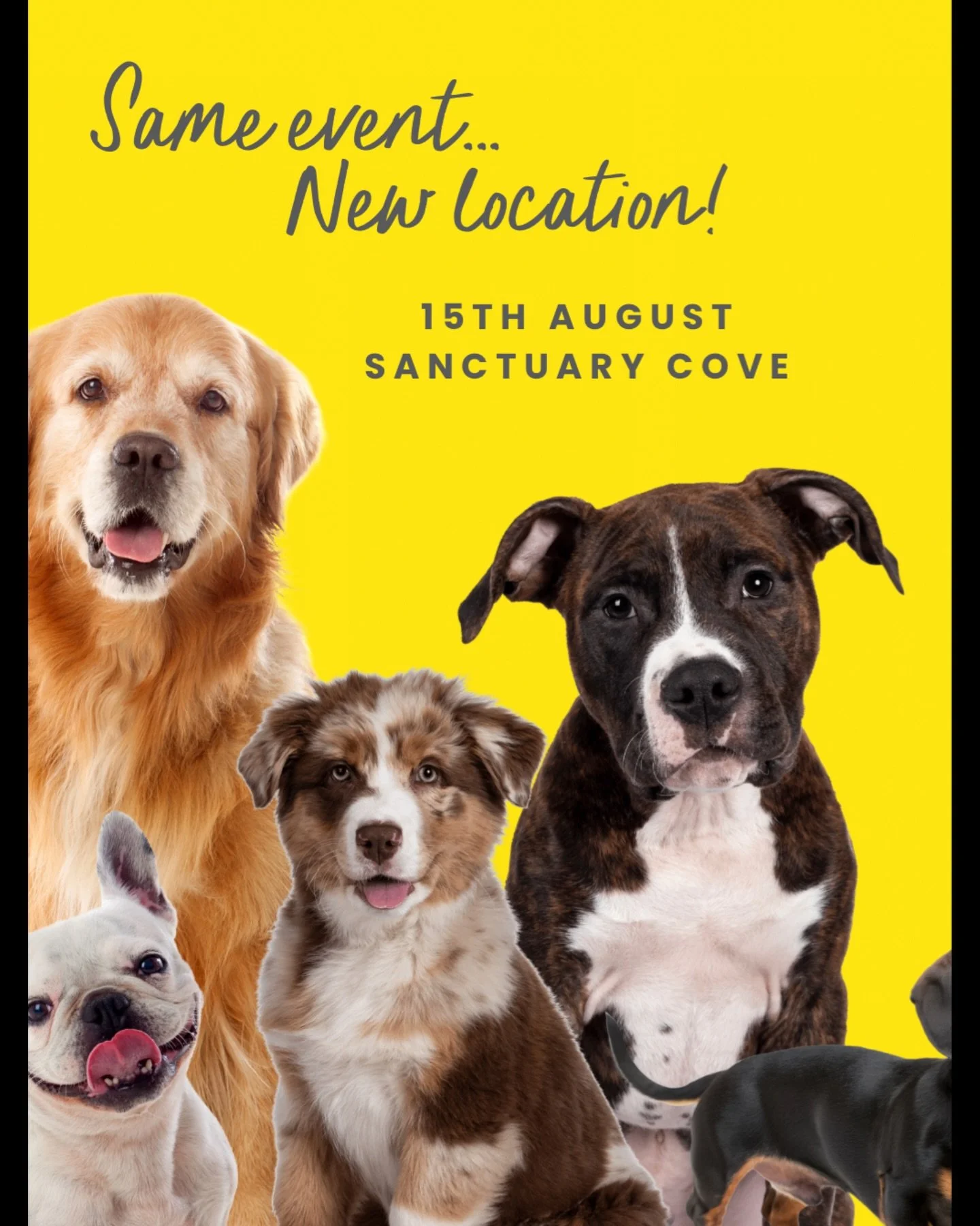 🐾 ENTRIES NOW OPEN &mdash; GOLD COAST&rsquo;S NEXT TOP DOGEL 🐾

We&rsquo;re back &mdash; and moving to Sanctuary Cove for 2026!

Gold Coast&rsquo;s favourite dog day out returns in a brand new location, bringing more space, more fun and even more f