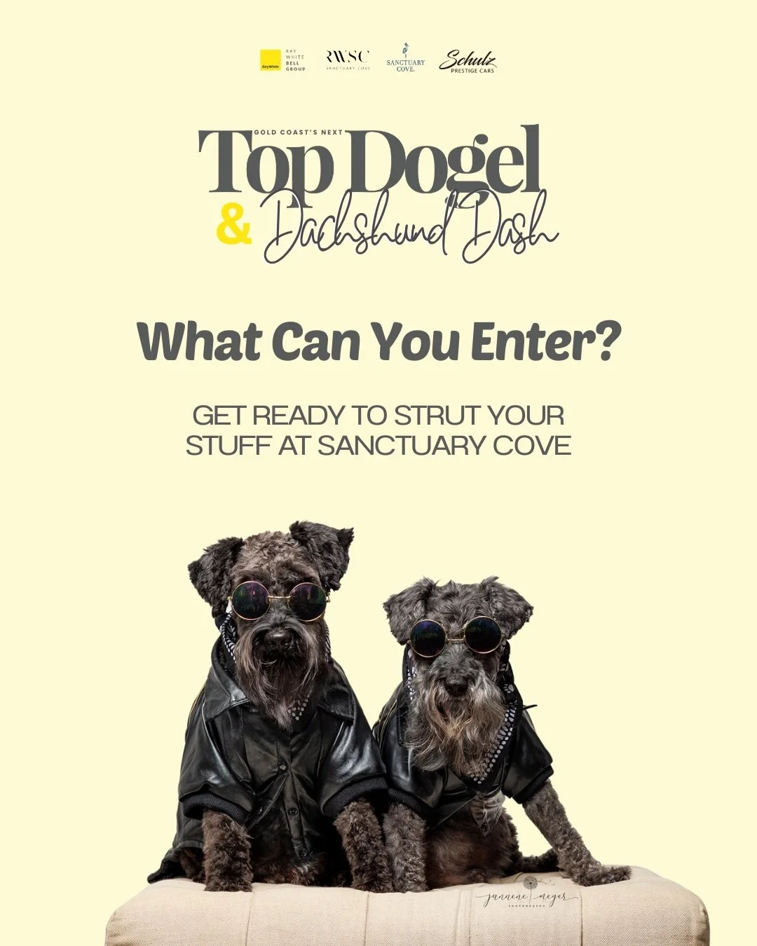 Calling all pups &amp; proud owners 🐶

Think your dog has what it takes? 👀
From best dressed to best trick, dachshund dash to best in show&hellip;
this is their moment to shine ✨

🐾 Best Big Dog
🐶 Best Medium Dog
🐕 Best Small Dog
🌭 Dachshund Da