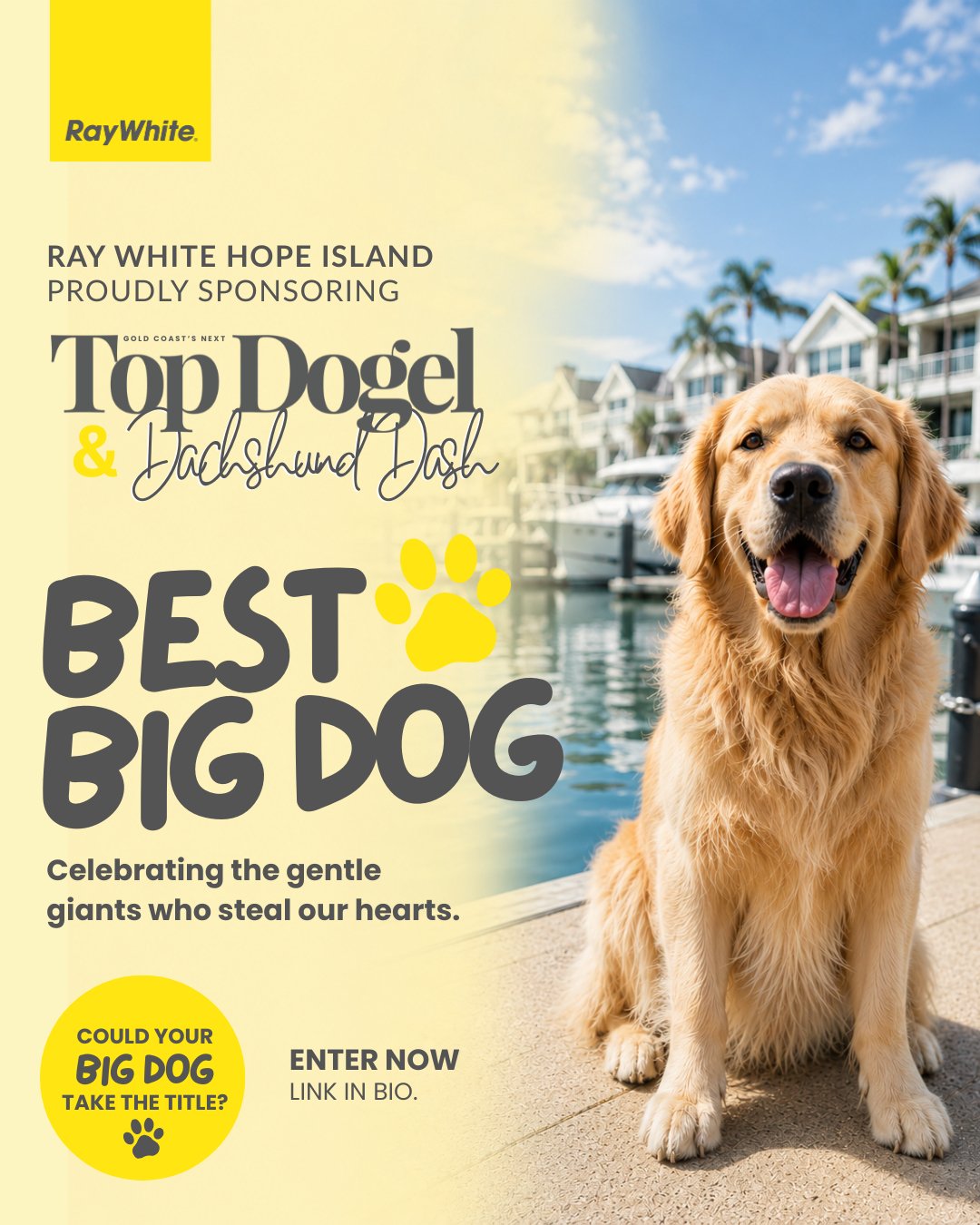 🐾 BIG DOGS&hellip; THIS ONE&rsquo;S FOR YOU 🏆

Ray White Hope Island proudly presents the Best Big Dog category at Gold Coast&rsquo;s Next Top Dogel 👀

We&rsquo;re celebrating the gentle giants, the oversized lap dogs, the beach runners, the slobb