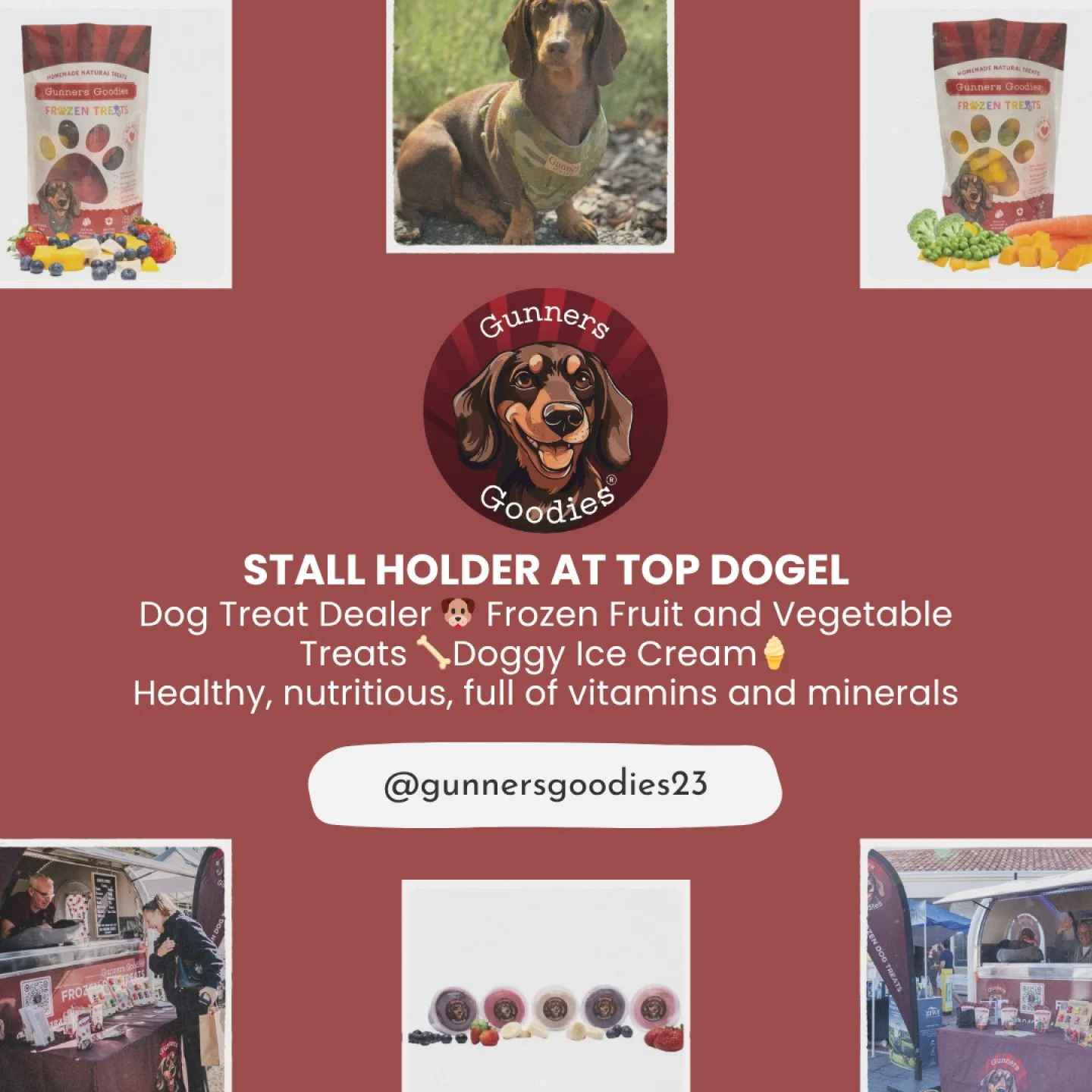 STALL HOLDER! 
🐾 About Gunners Goodies 🐾

Born from a love for dogs and a passion for better nutrition, Gunners Goodies creates wholesome, handmade frozen treats designed to keep tails wagging and pups thriving. 

Made with 100% natural fruits and 