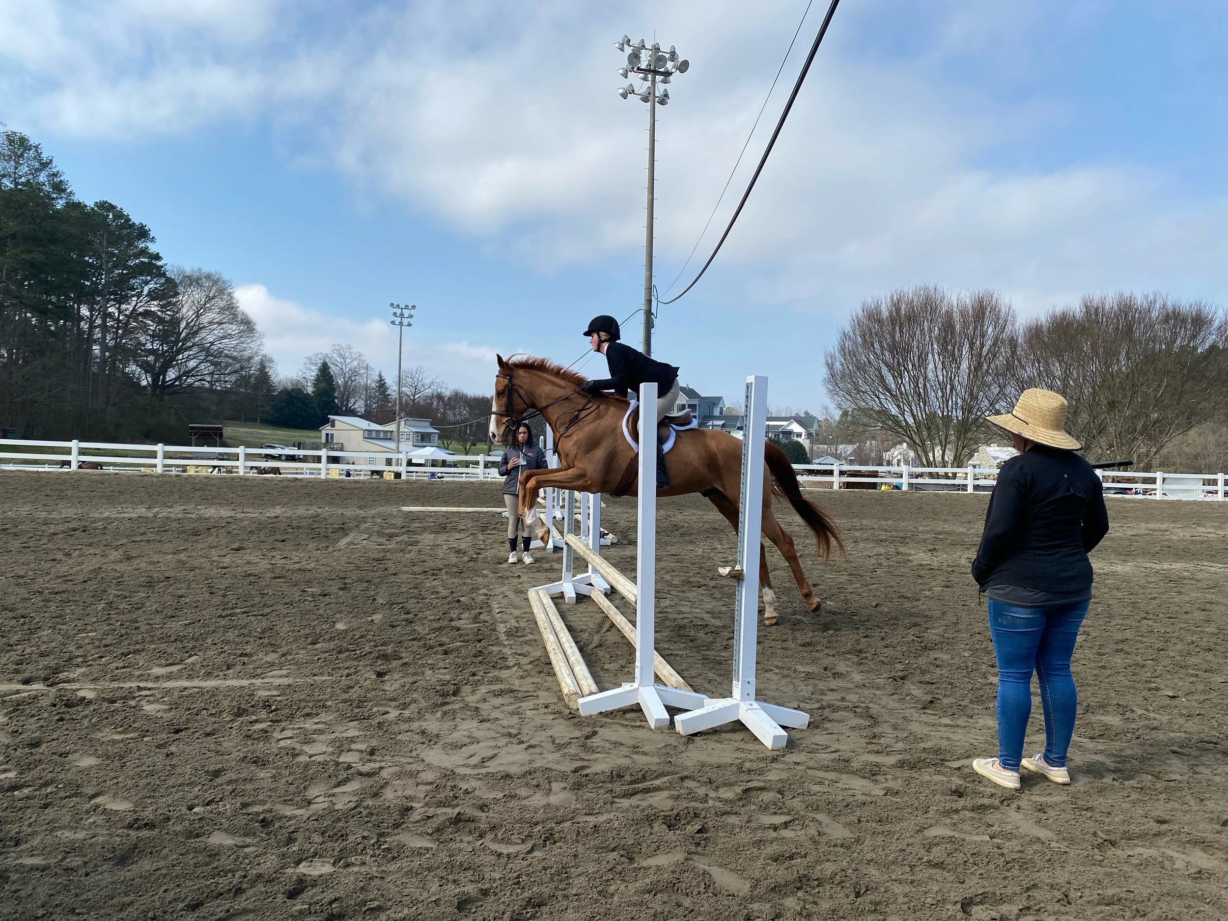 Claire Horner riding her project sales horse, Louie