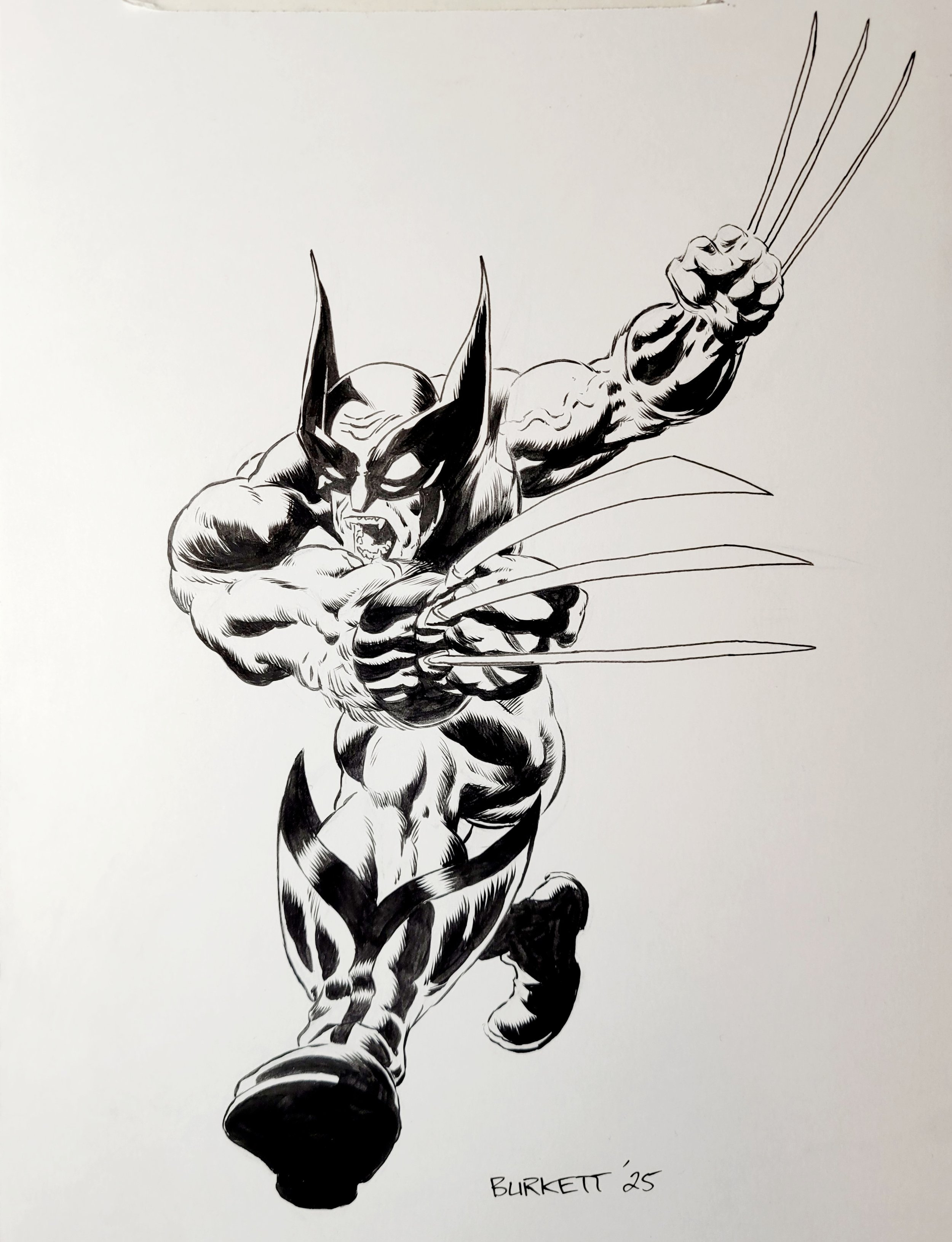 Wolverine.jpeg
