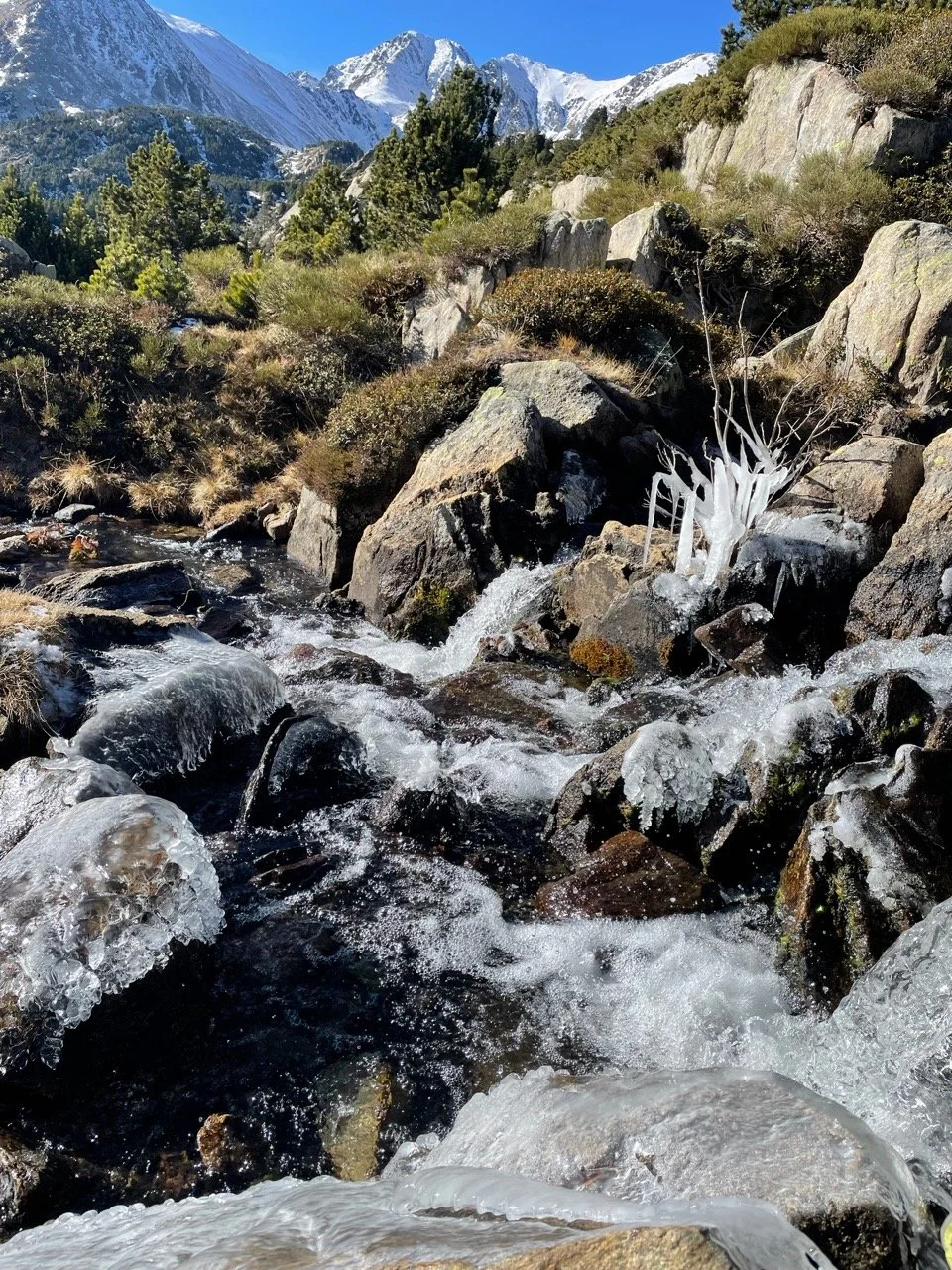 The streams were cold and created fantastic ice cicles