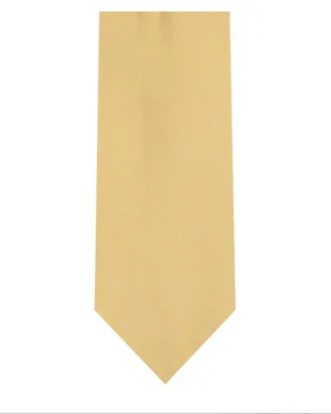 Gold tie, code JJ