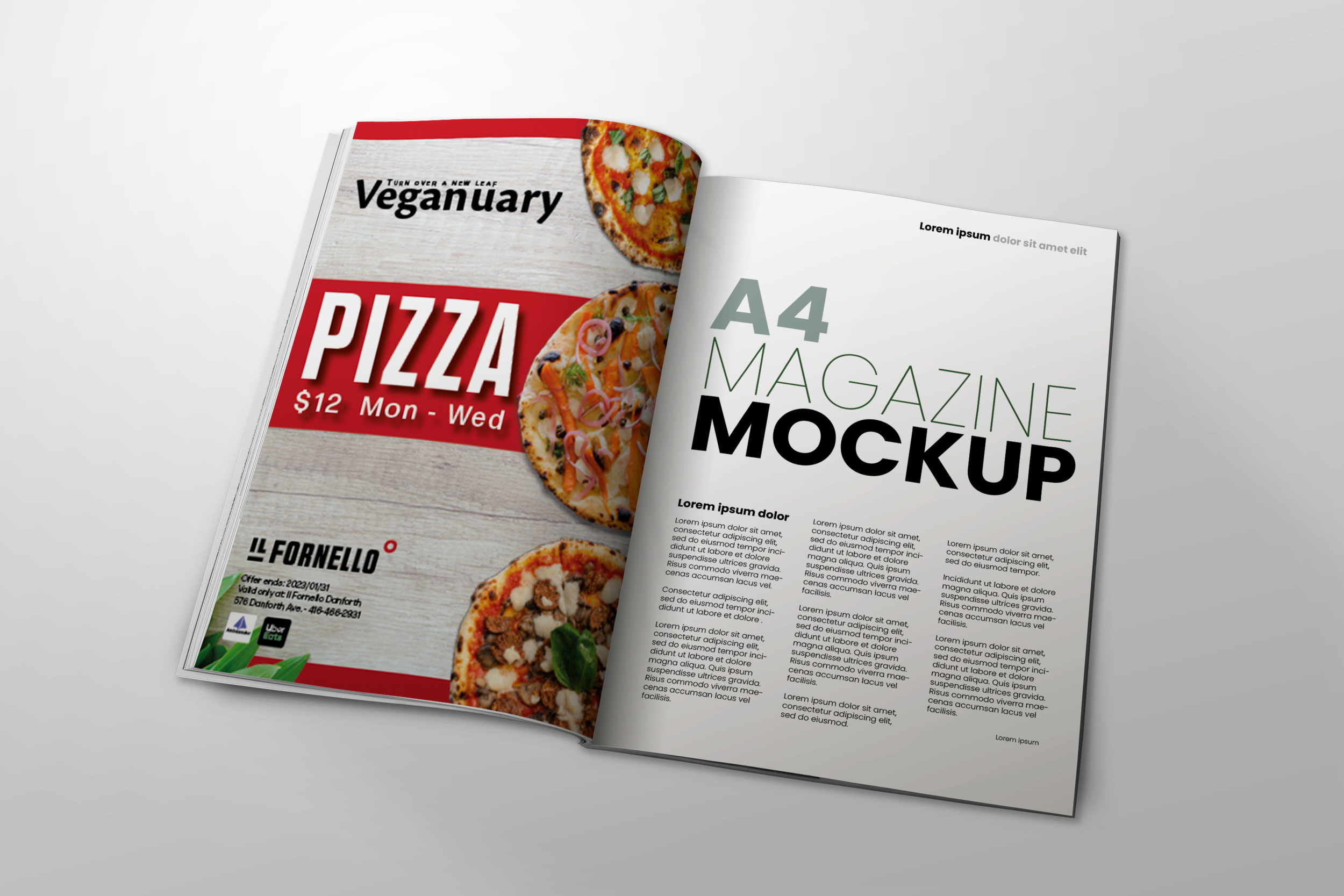 Magazine_Mockup.png