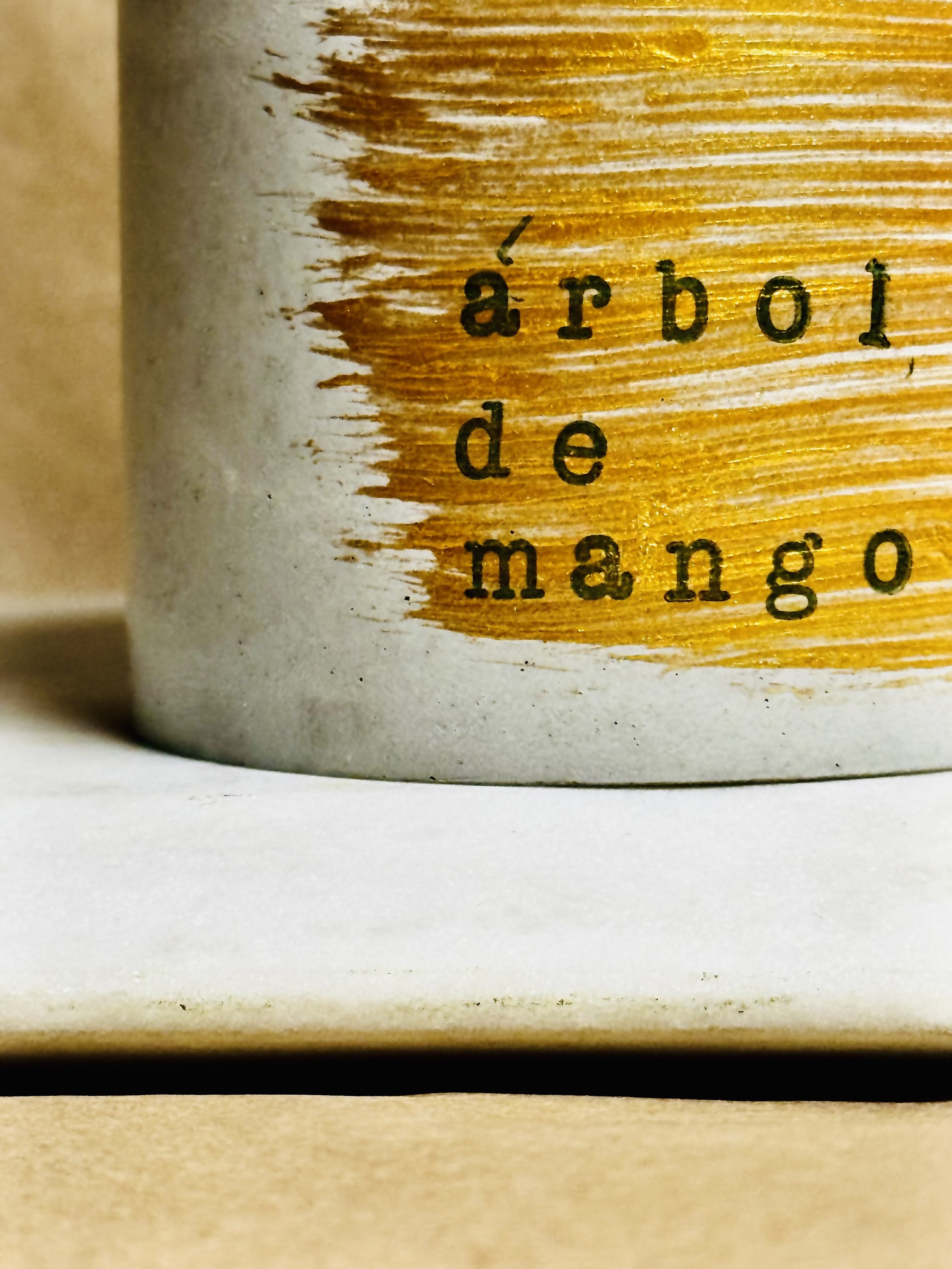 Arbol de Mango 2:4.jpg